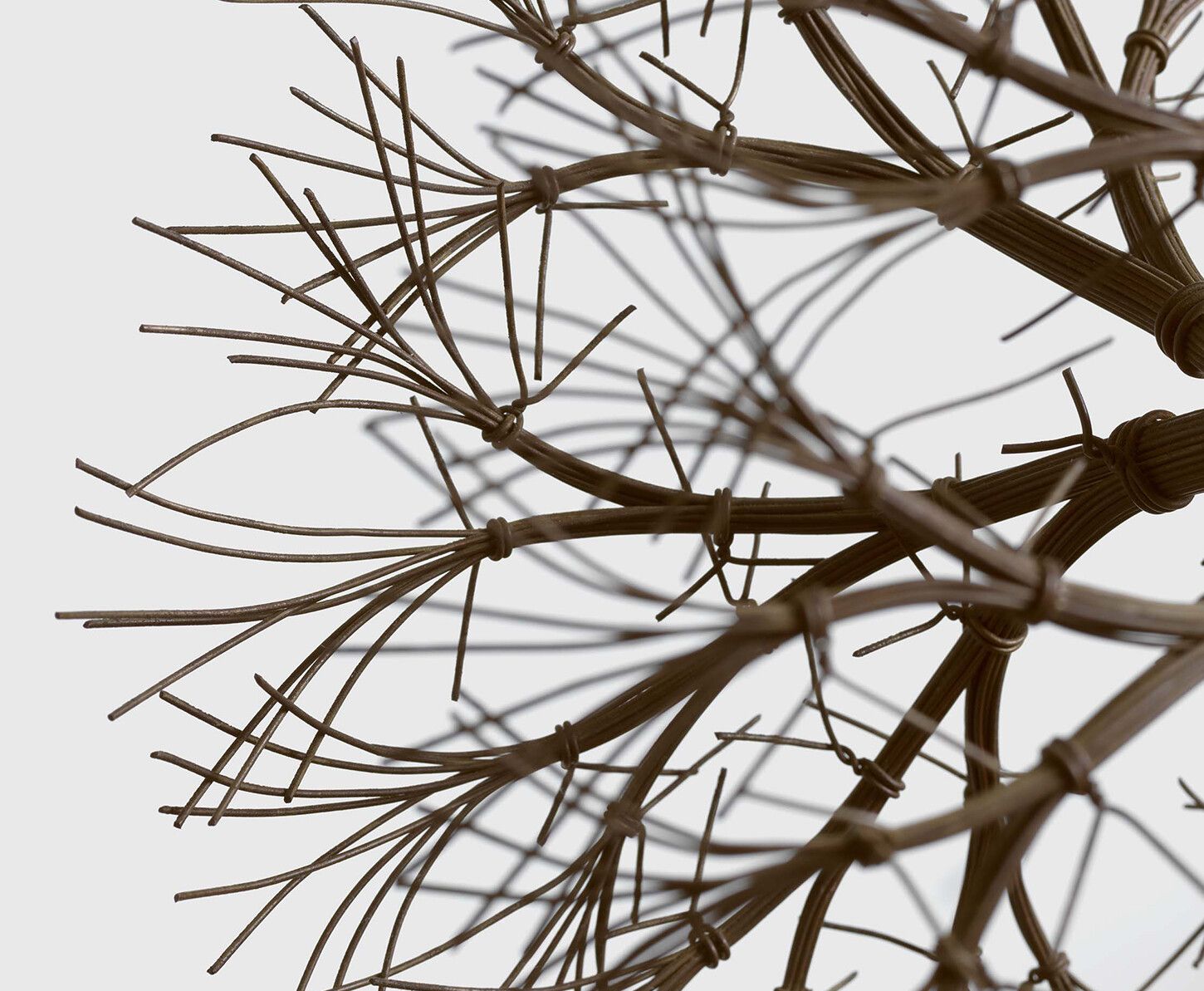 A detail of a sculpture by Ruth Asawa, titled "Untitled (S.381, Hanging Tied-Wire, Double-Sided, Center-Tied, Three-Branched Form Based on Nature)", circa 1965