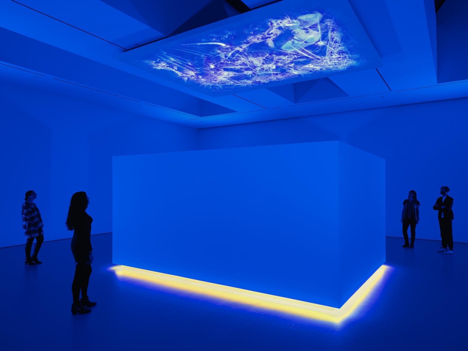 An installation by Diana Thater, titled Science, Fiction, dated 2014.