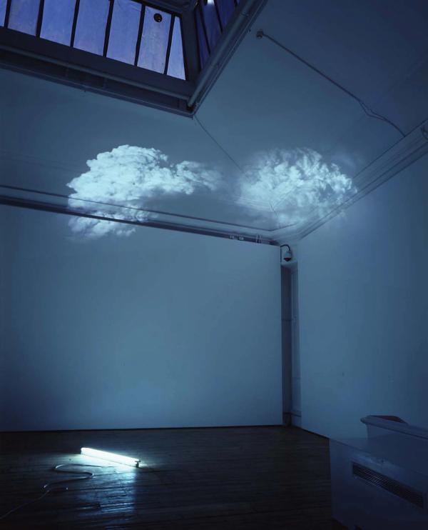 Diana Thater — White is the Color