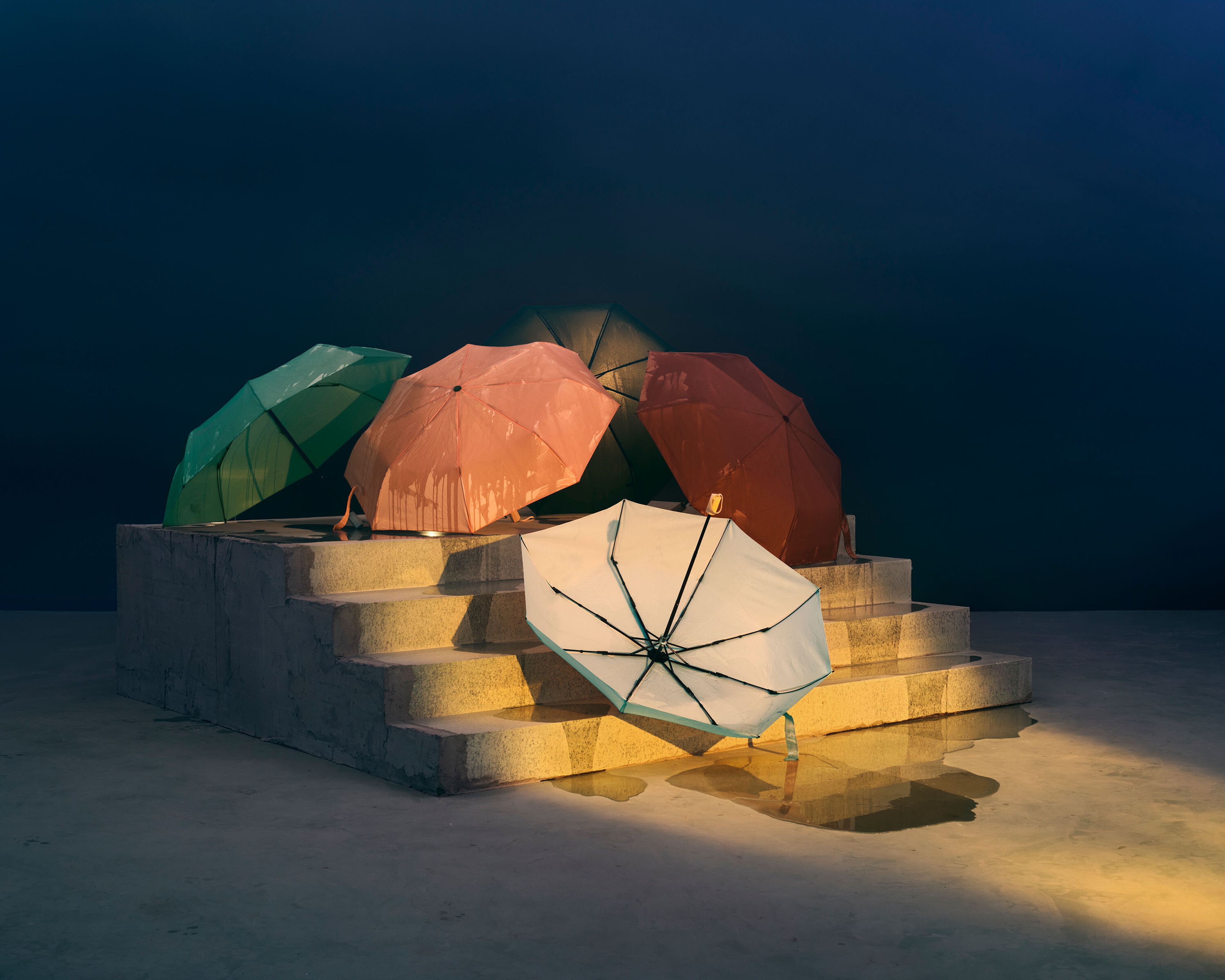 A detail from a photograph by Chen Wei, titled Flowers on the Steps, dated 2024.