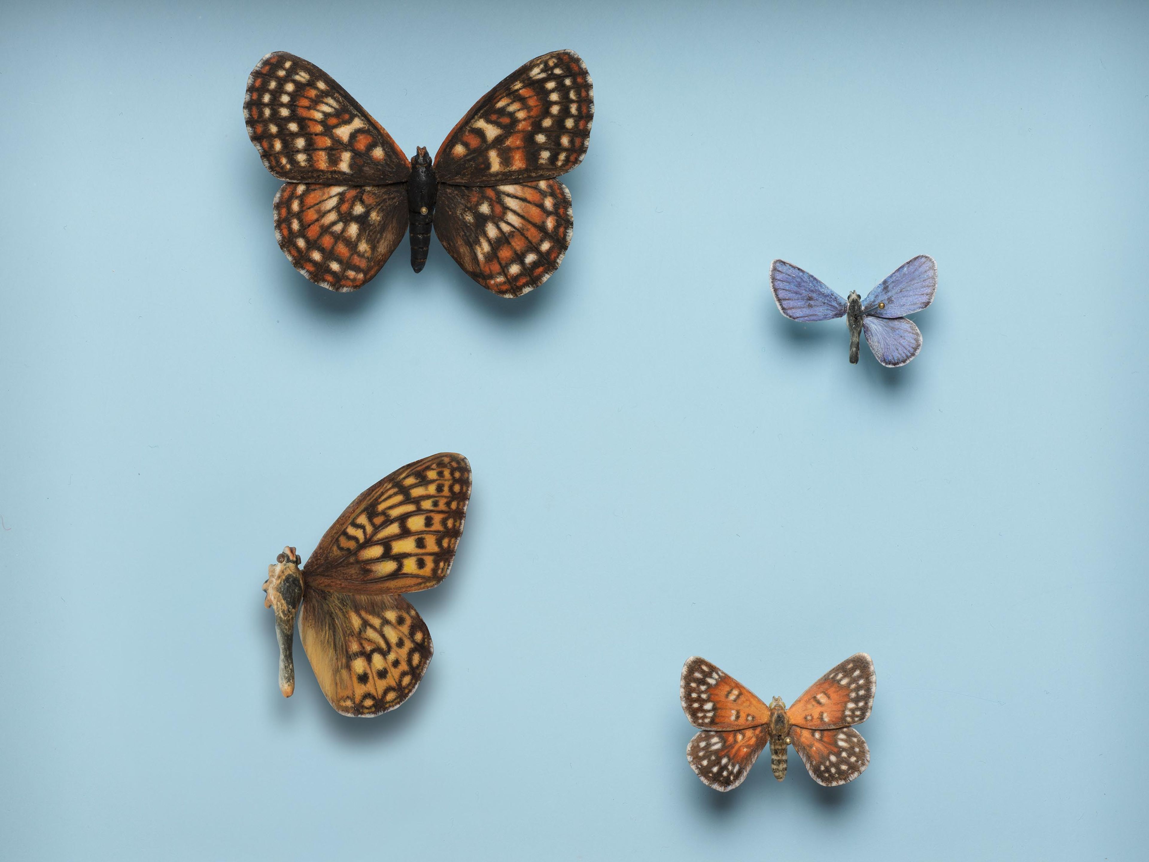 A detail from a mixed media work by Elisheva Biernoff, titled Shadow Box, dated 2024 to 2025.