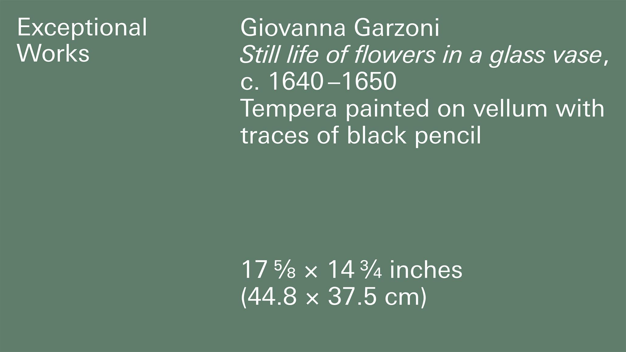 A header graphic with the following artwork information: Giovanna Garzoni, Still life of flowers in a glass vase, c. 1640-1650, Tempera on vellum with traces of black pencil, 17 5/8 x 14 3/4 inches, 44.8 x 37.5 cm.