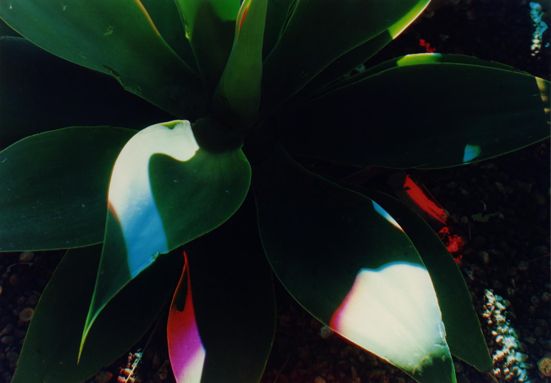 A photograph by James Welling, titled H8, dated 2006. 