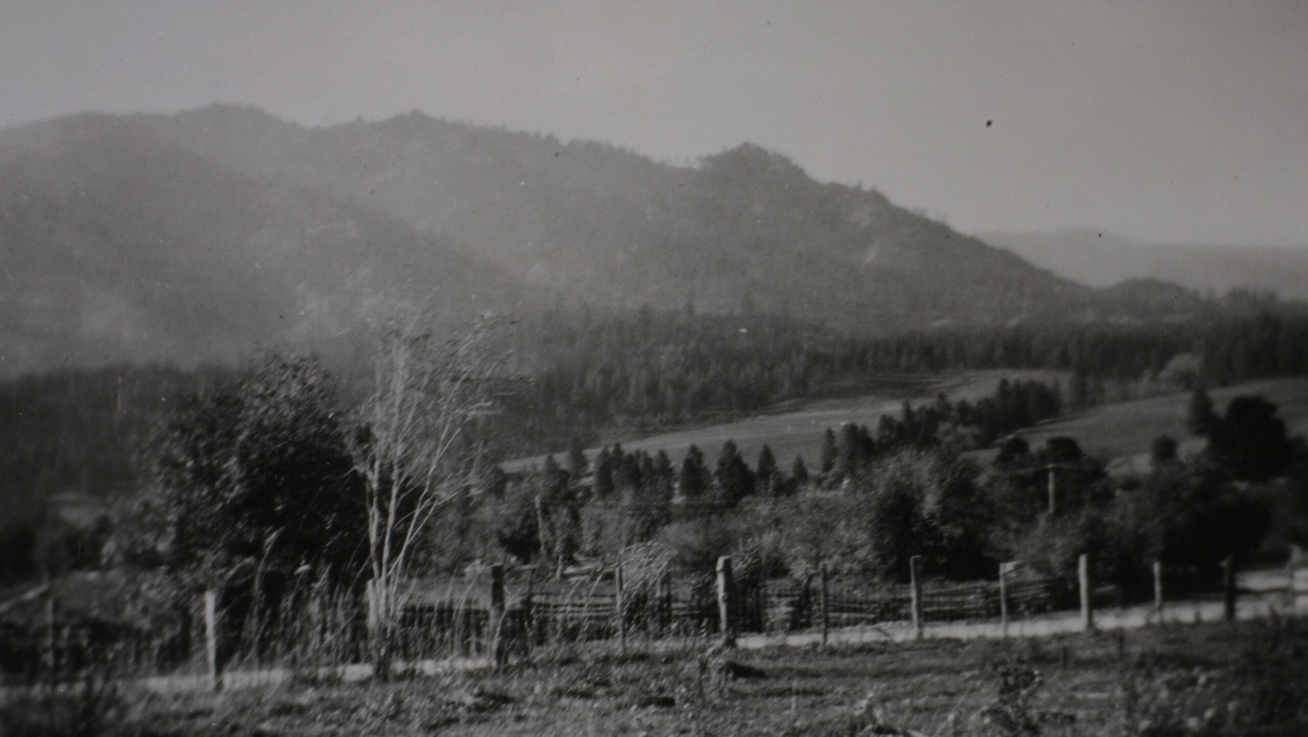 A photograph of Garden Valley by the Beach family 