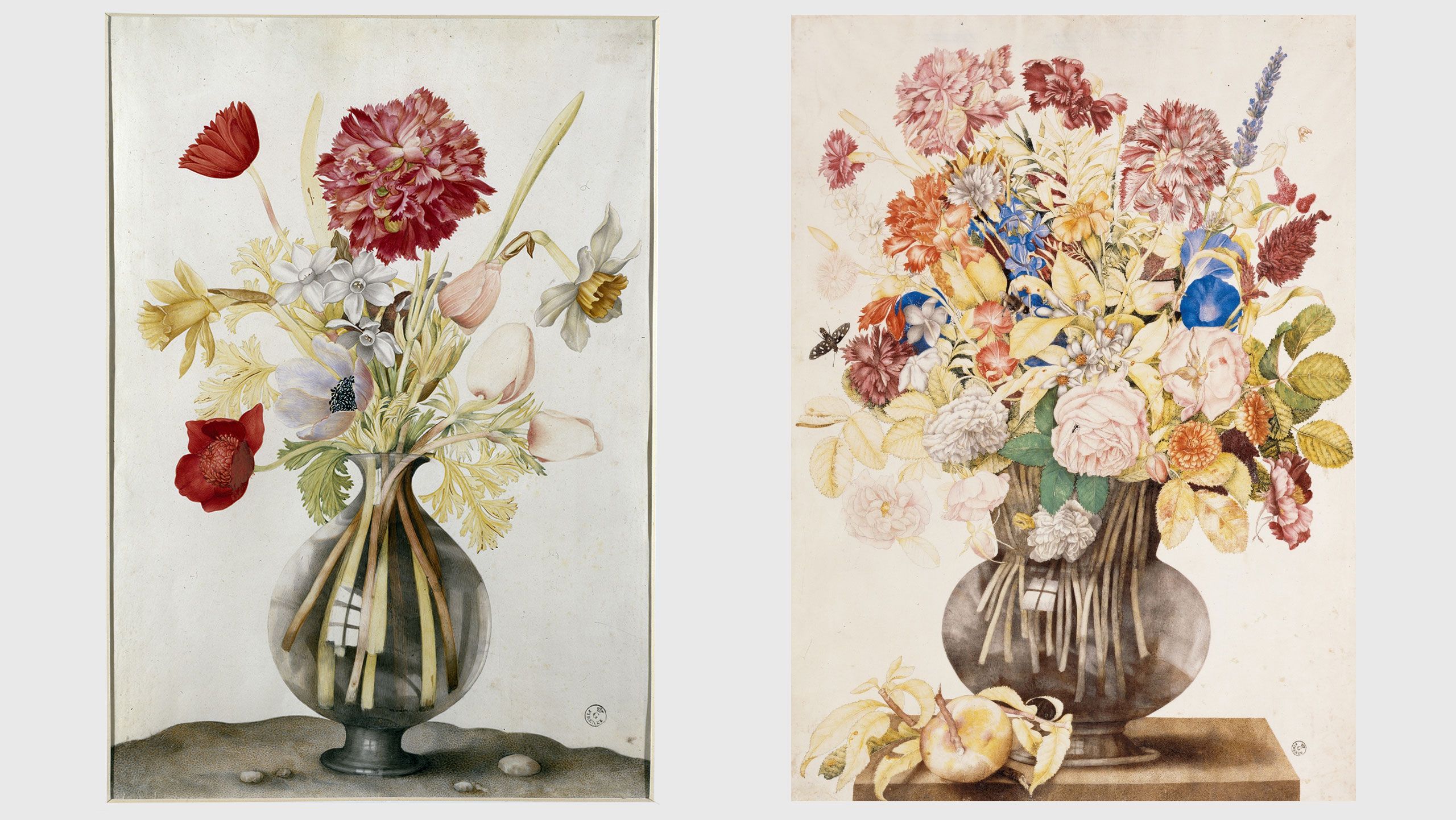 Two paintings by Giovanna Garzoni: Vase of Flowers with Daffodils, Carnations and Anemones, 1642–1651 and Buffone con garofani e altri fiori su una base in pietra con pesca appoggiata, 1642–1651.