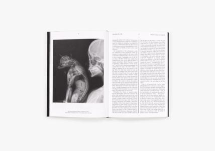 Heji Shin: THE BIG NUDES | Books | David Zwirner