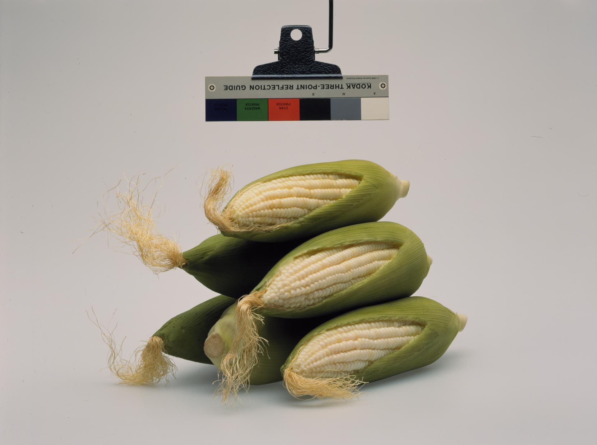 A photograph by Christopher Williams, titled Kodak Three Point Reflection Guide, © 1968 Eastman Kodak Company, 1968.(Corn) Photography by Douglas M. Parker Studio,Glendale, California, April 17, 2003, dated 2003.