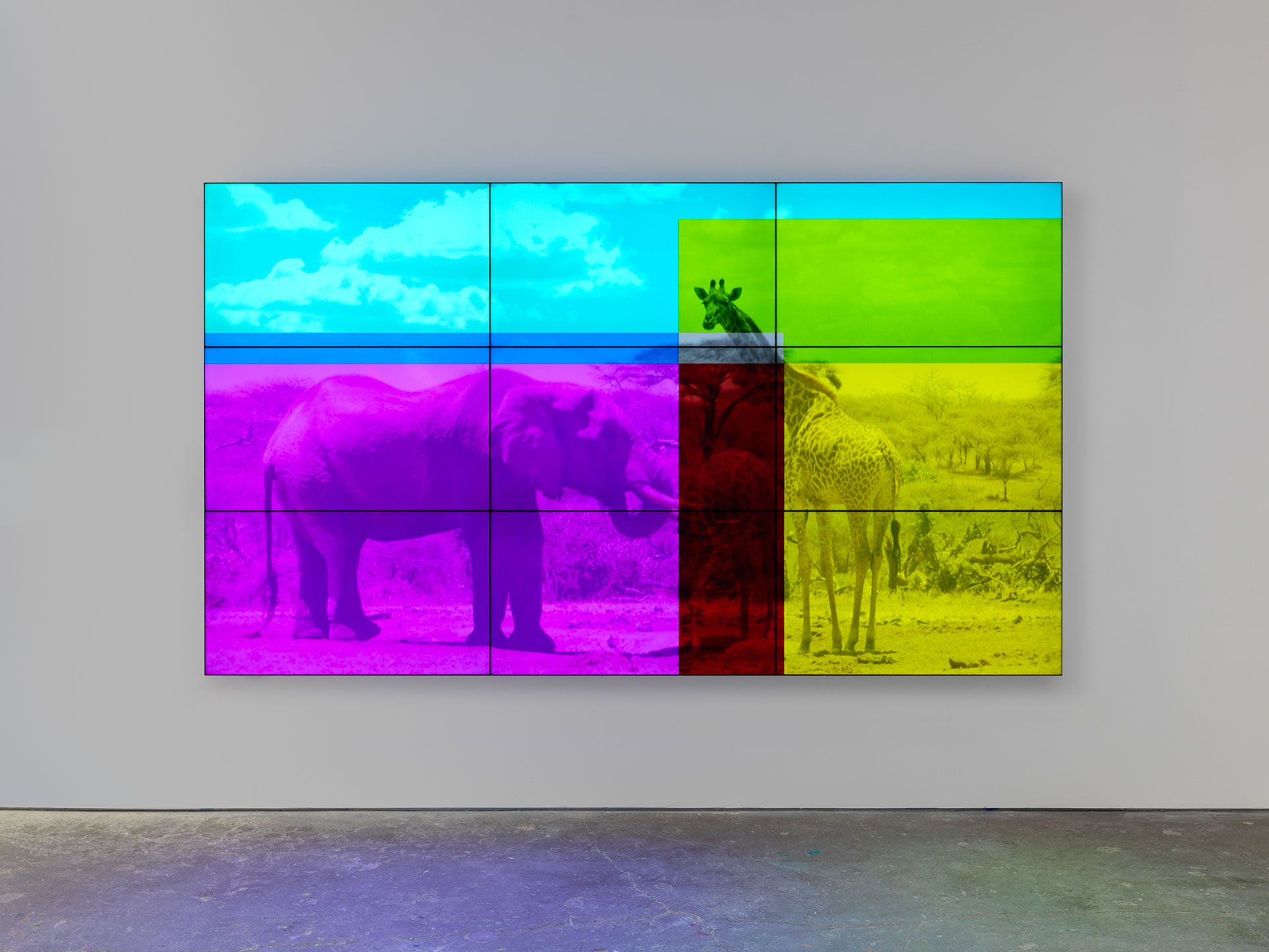 An installation by Diana Thater, titled Time Compressed, dated 2017.