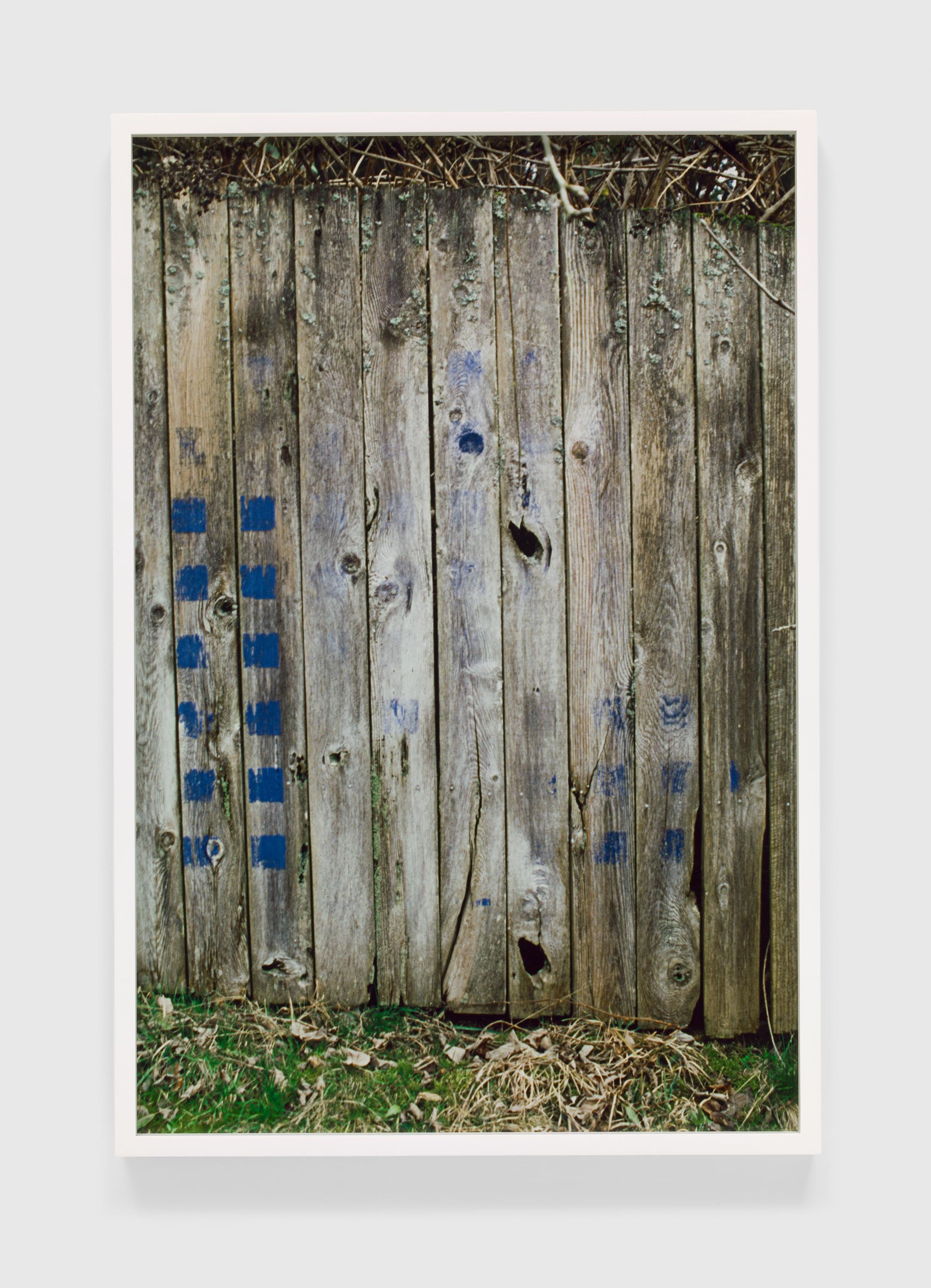 A photograph by Merrill Wagner, titled Blue, Summer Studio 1985-2003, dated 2017.