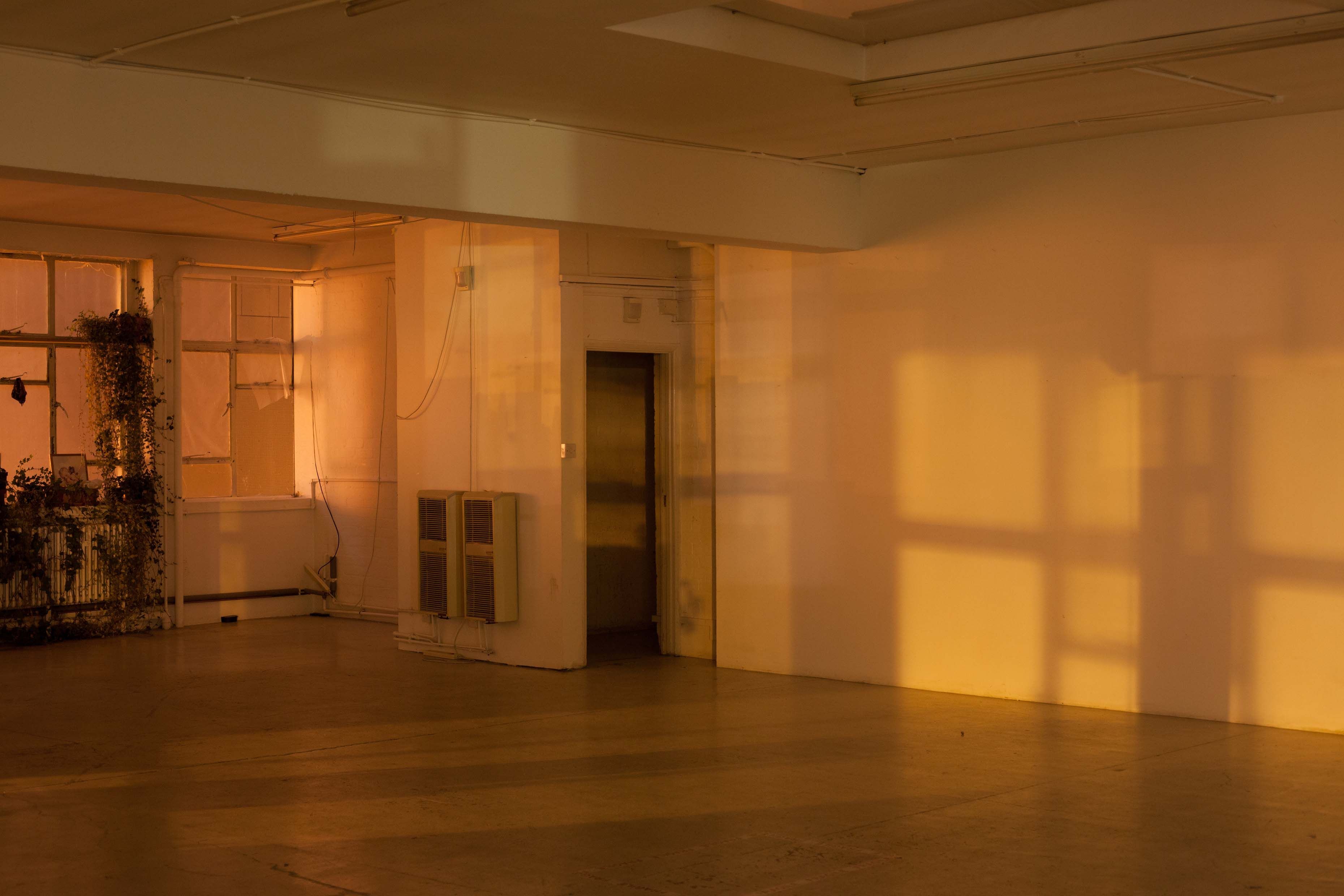A photograph by Wolfgang Tillmans, titled Filled with Light, a, dated 2011.