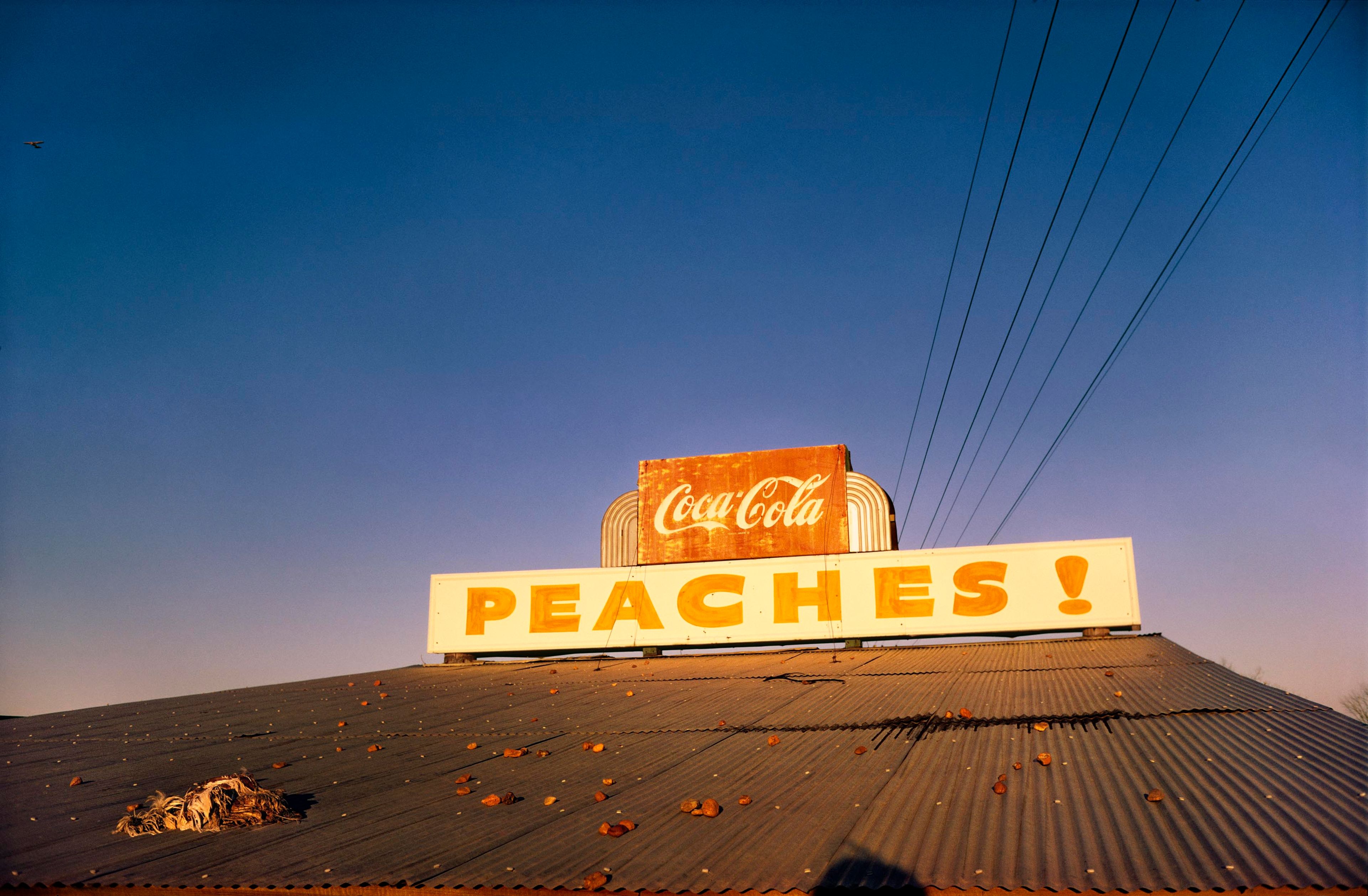 An untitled photograph by William Eggleston, dated 1973.