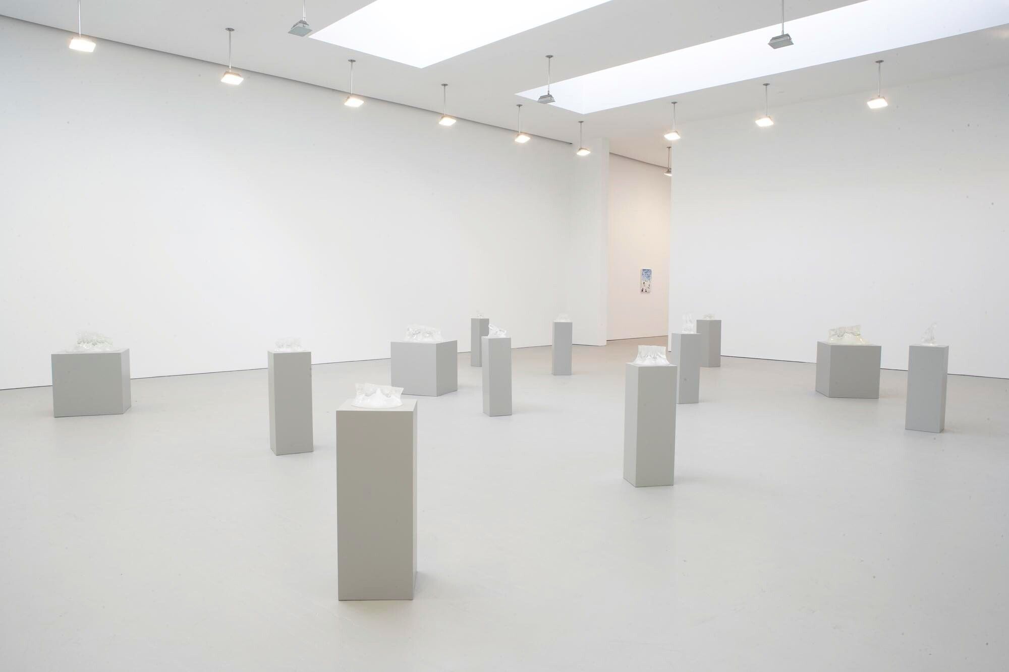 Installation view of the exhibition Yutaka Sone, at David Zwirner in New York, dated 2007. 