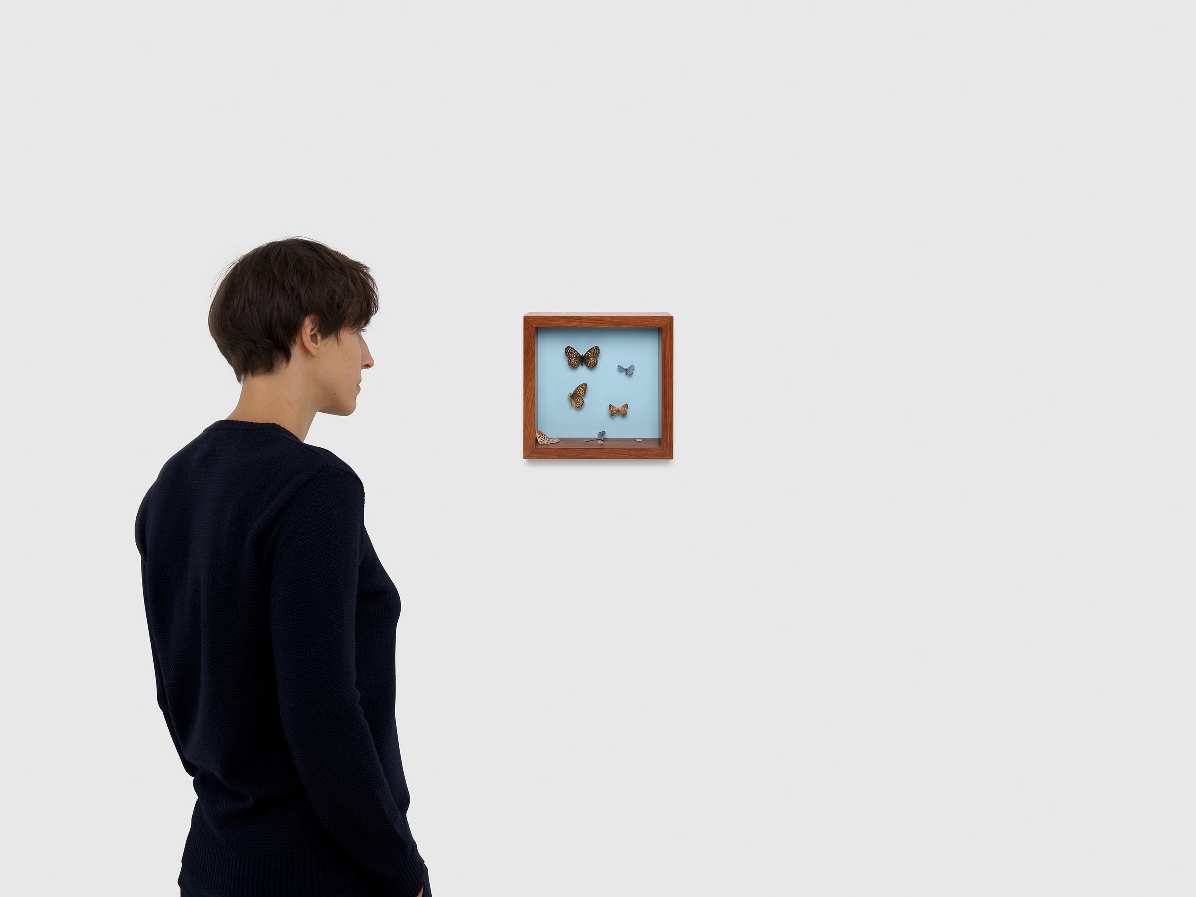 A mixed media work by Elisheva Biernoff, titled Shadow Box, dated 2024 to 2025.