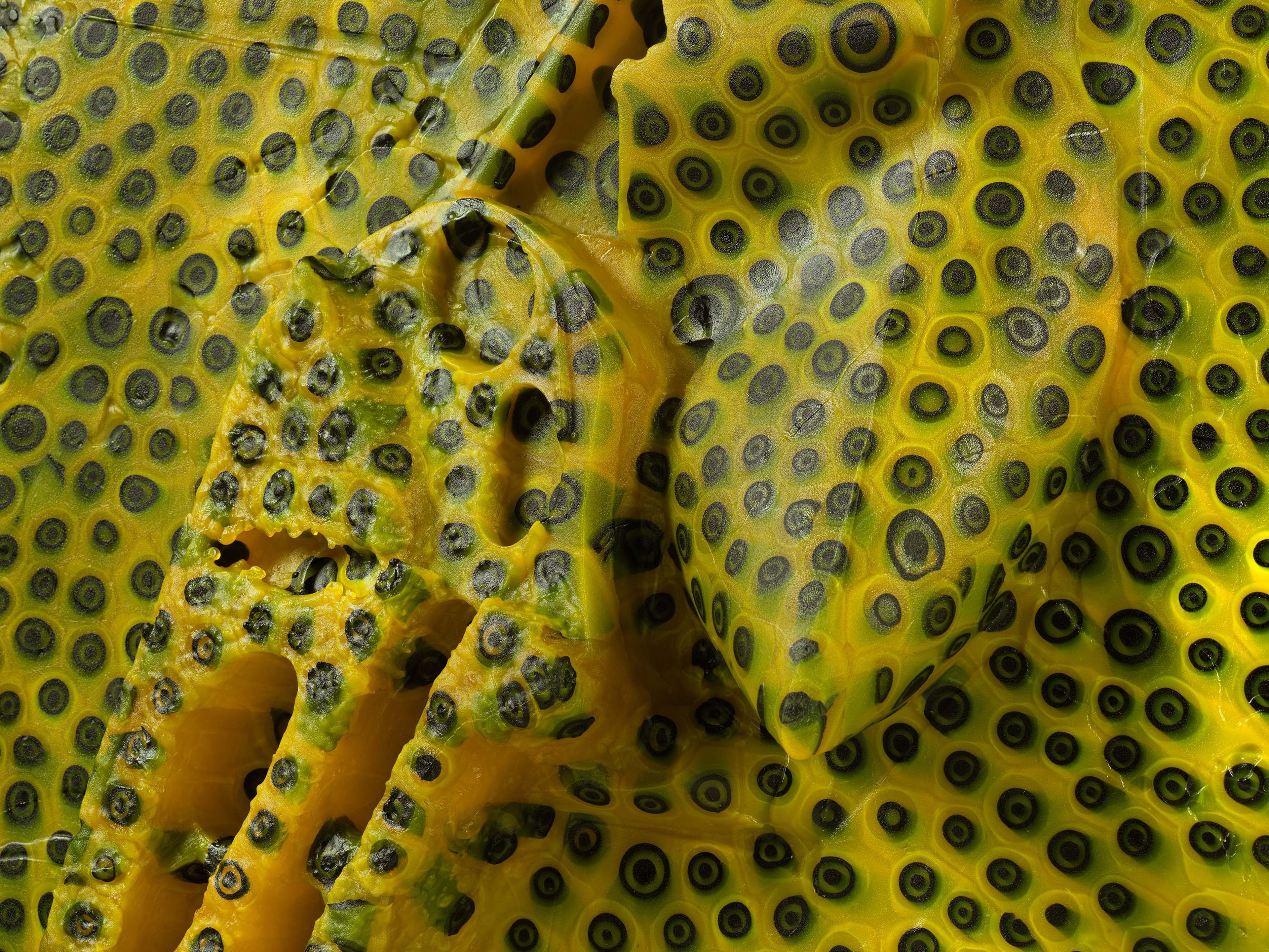 A detail from a sculpture by Andra Ursuta, titled Private Dancer (Yellow Snow), dated 2025.