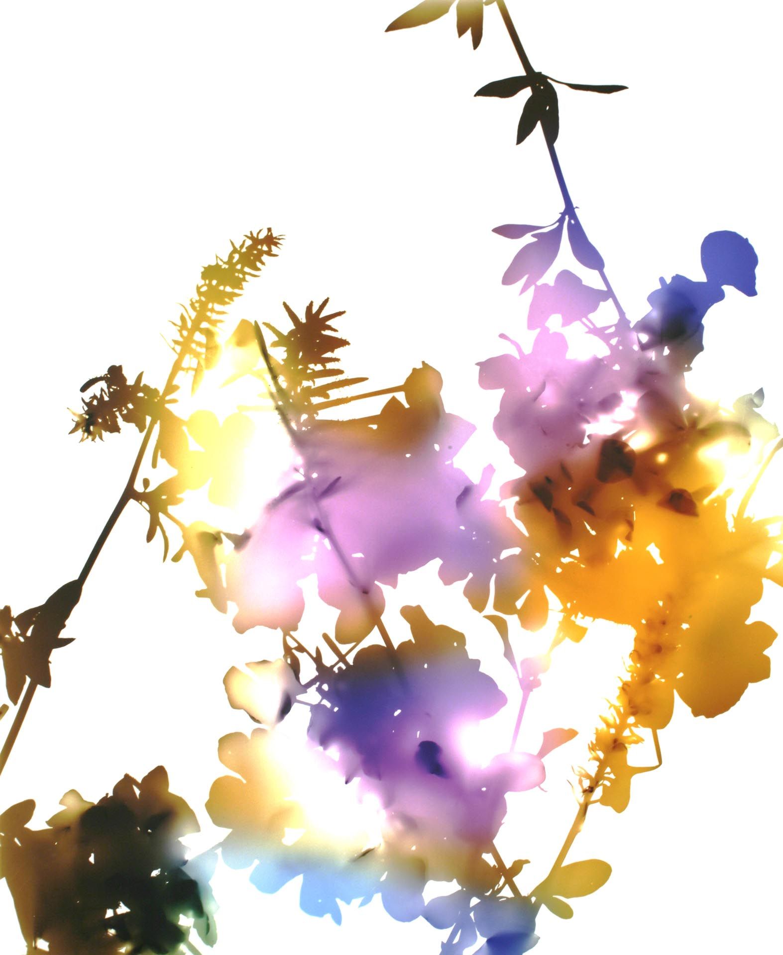 A photograph by James Welling, titled 031, dated 2006. 