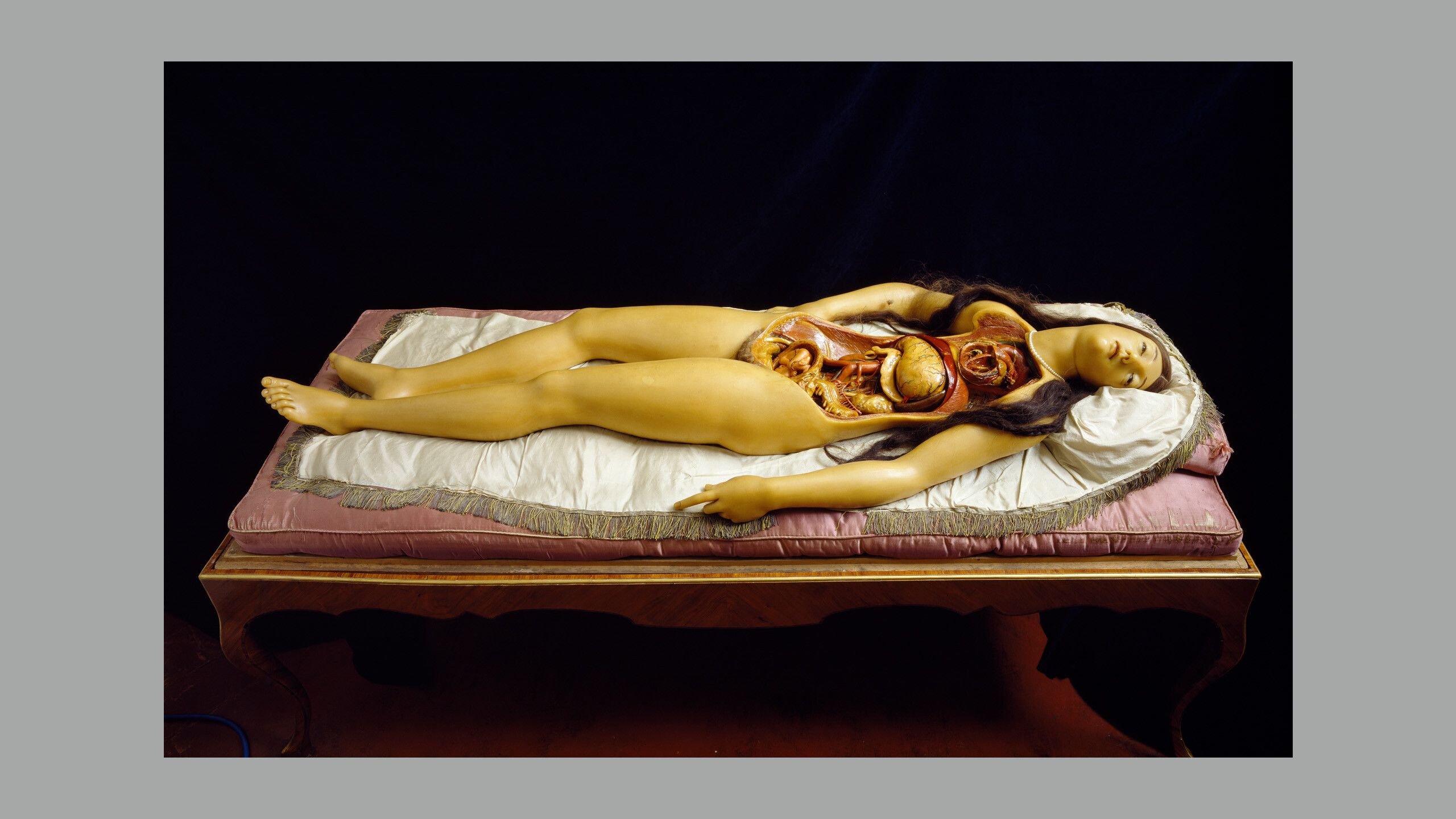 The Dismantable Venus by Clemente Susini