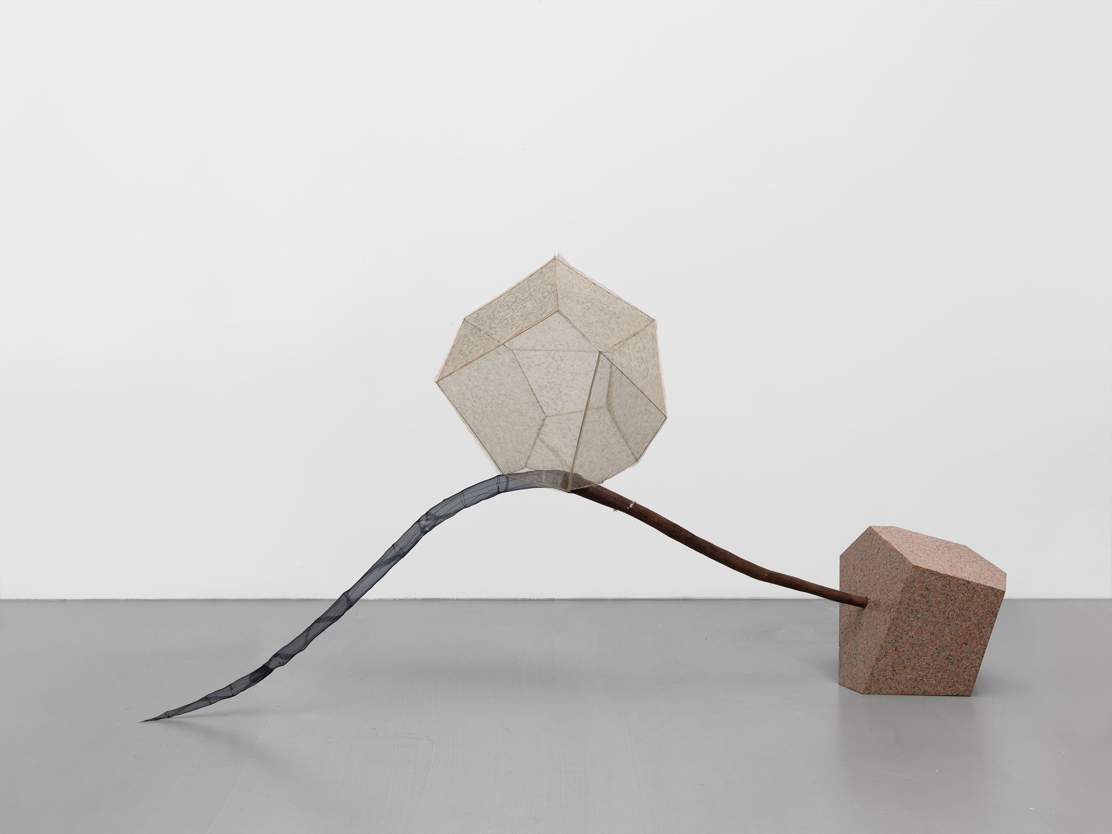 A sculpture by Hu Xiaoyuan, titled Carpel III, dated 2025.