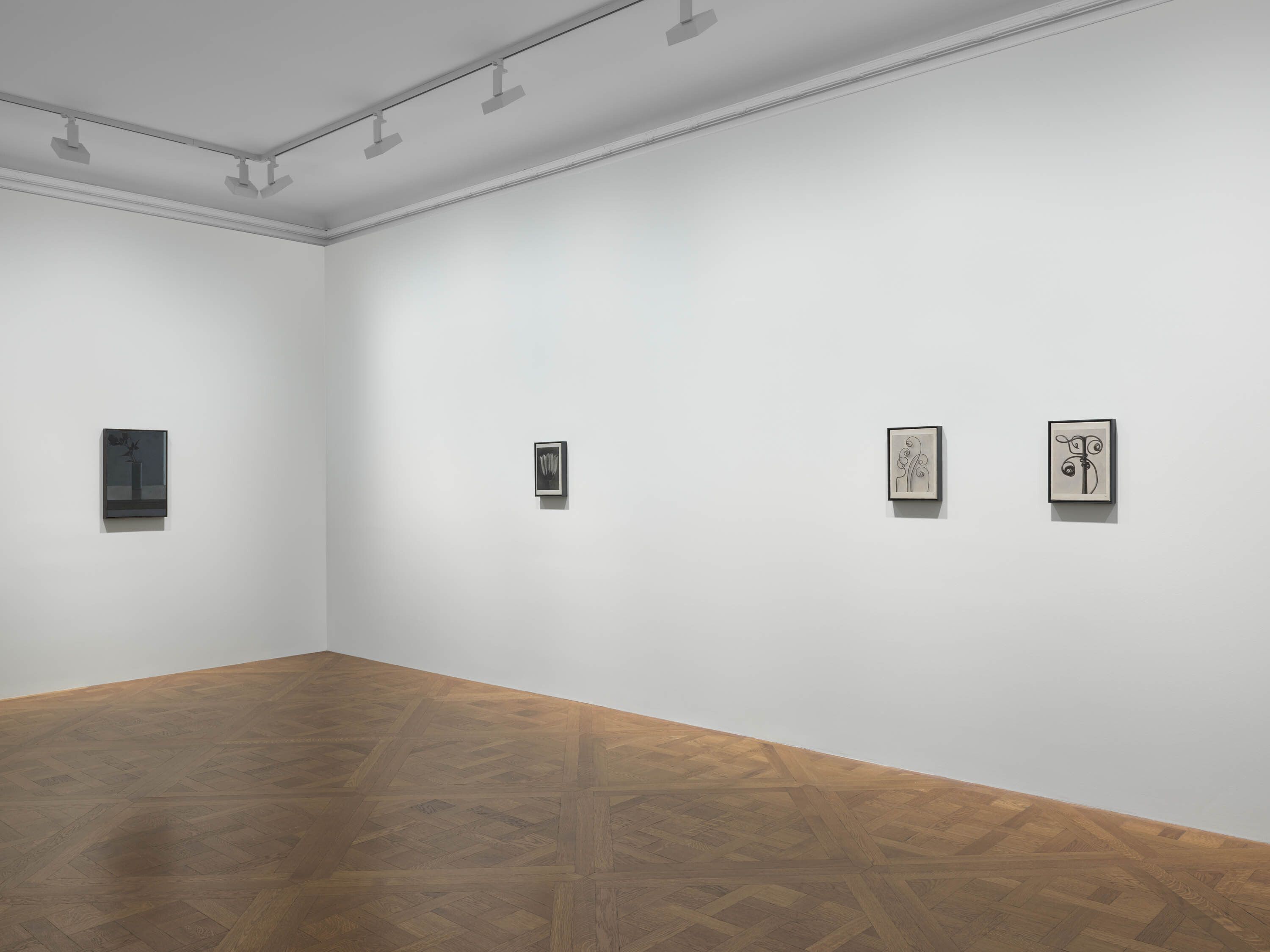 An installation view of an exhibition titled Liu Ye: The Book and the Flower, at David Zwirner, New York, in 2020.