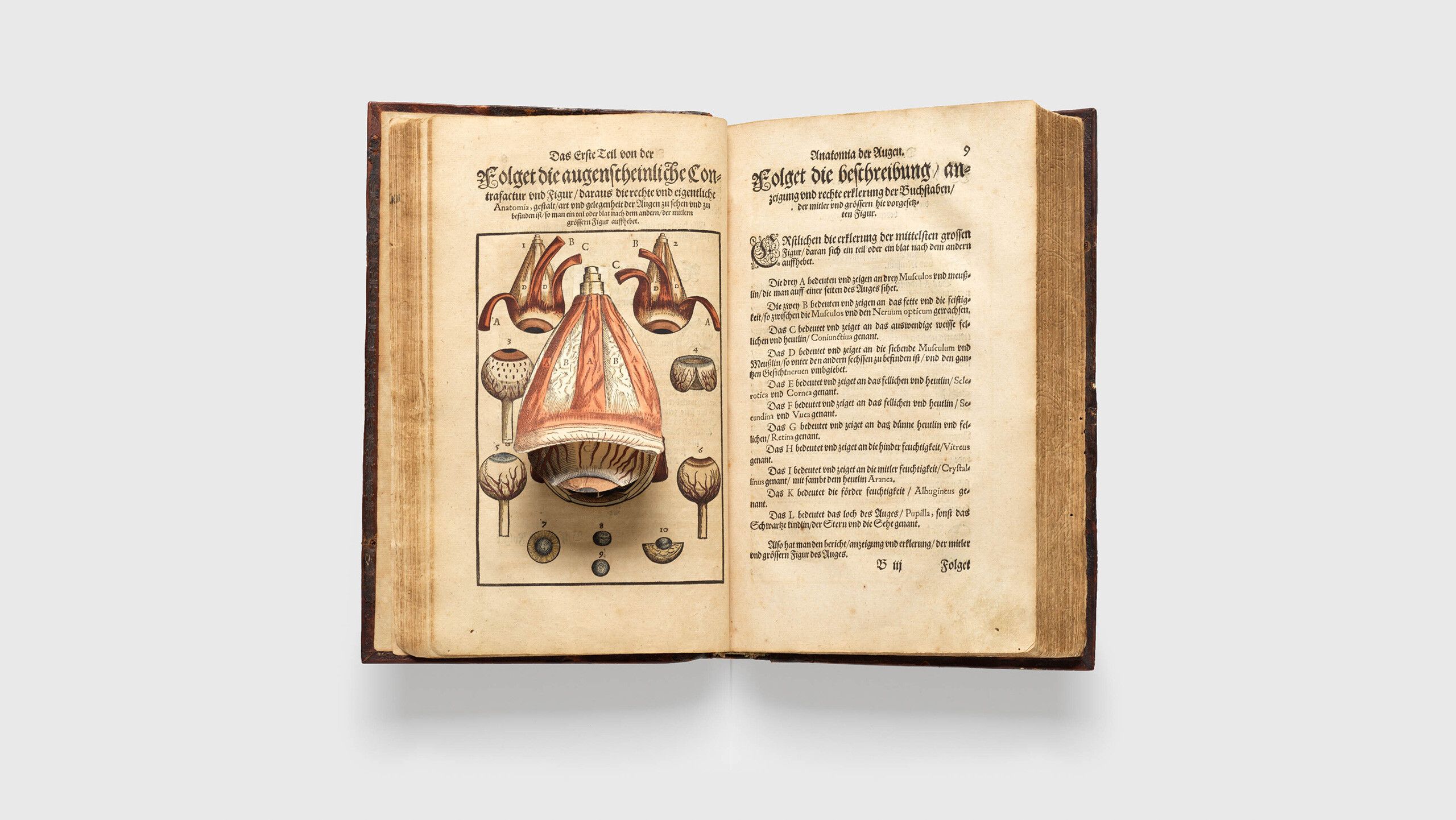 A book by Georg Bartisch, titled Oφθαλμοδουλεια (translated to Ophthalmoduleia: das ist Augendienst), dated 1583