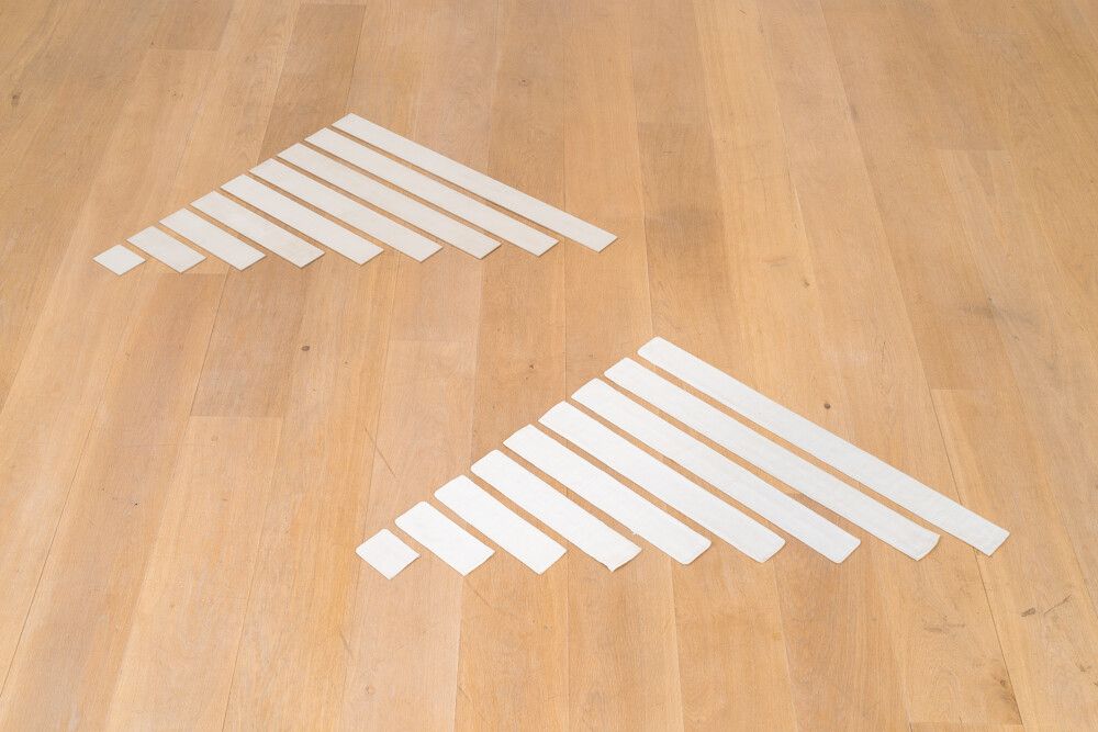 A sculpture by Guy Mees, titled 2X (80 X 900 mm, 80 X 800 mm, 80 X 700 mm, 60 X 600 mm, 80 X 500 mm, 80 X 400 mm, 80 X 300 mm,..., dated 1968-1970