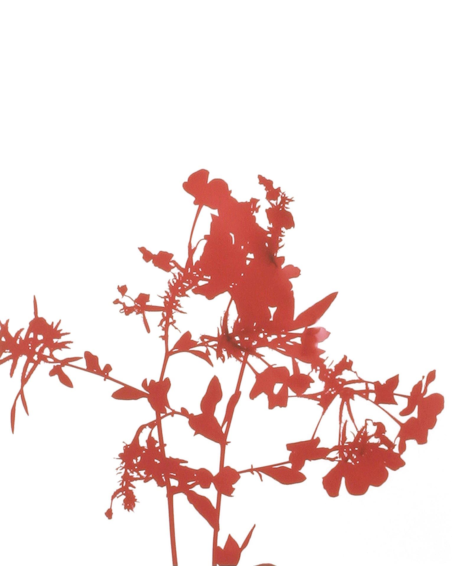 A photograph by James Welling, titled #040, dated 2004.