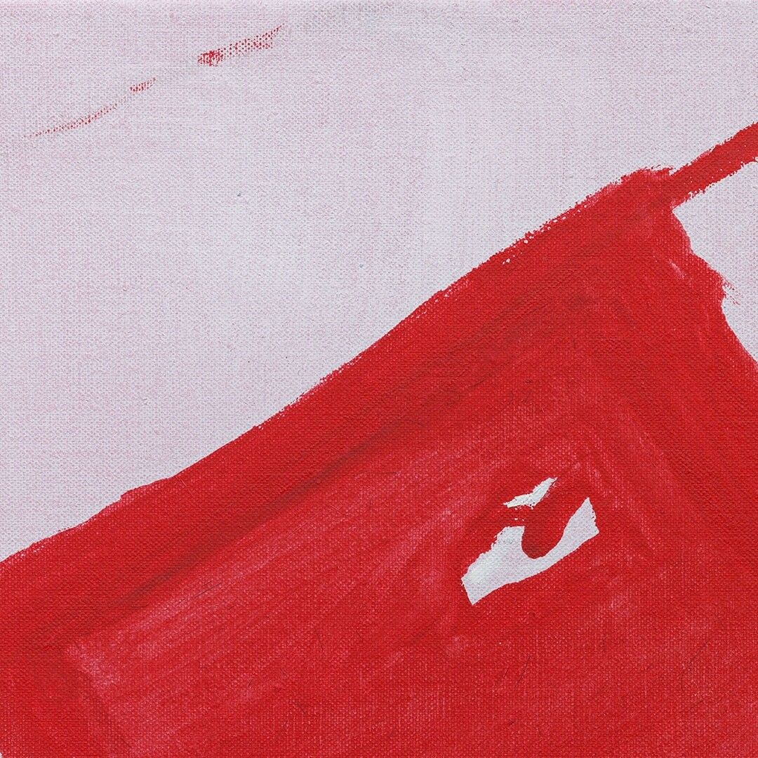 A detail from a painting by Raoul De Keyser, titled Turkish 1 Mai in Belgium, dated 2009