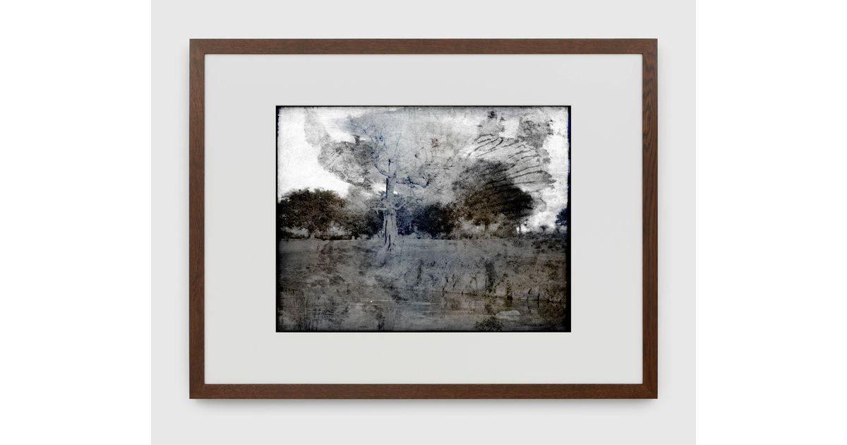 Thomas Ruff: tripe_03 Mysore. Landscape with leafless tree and tank ...