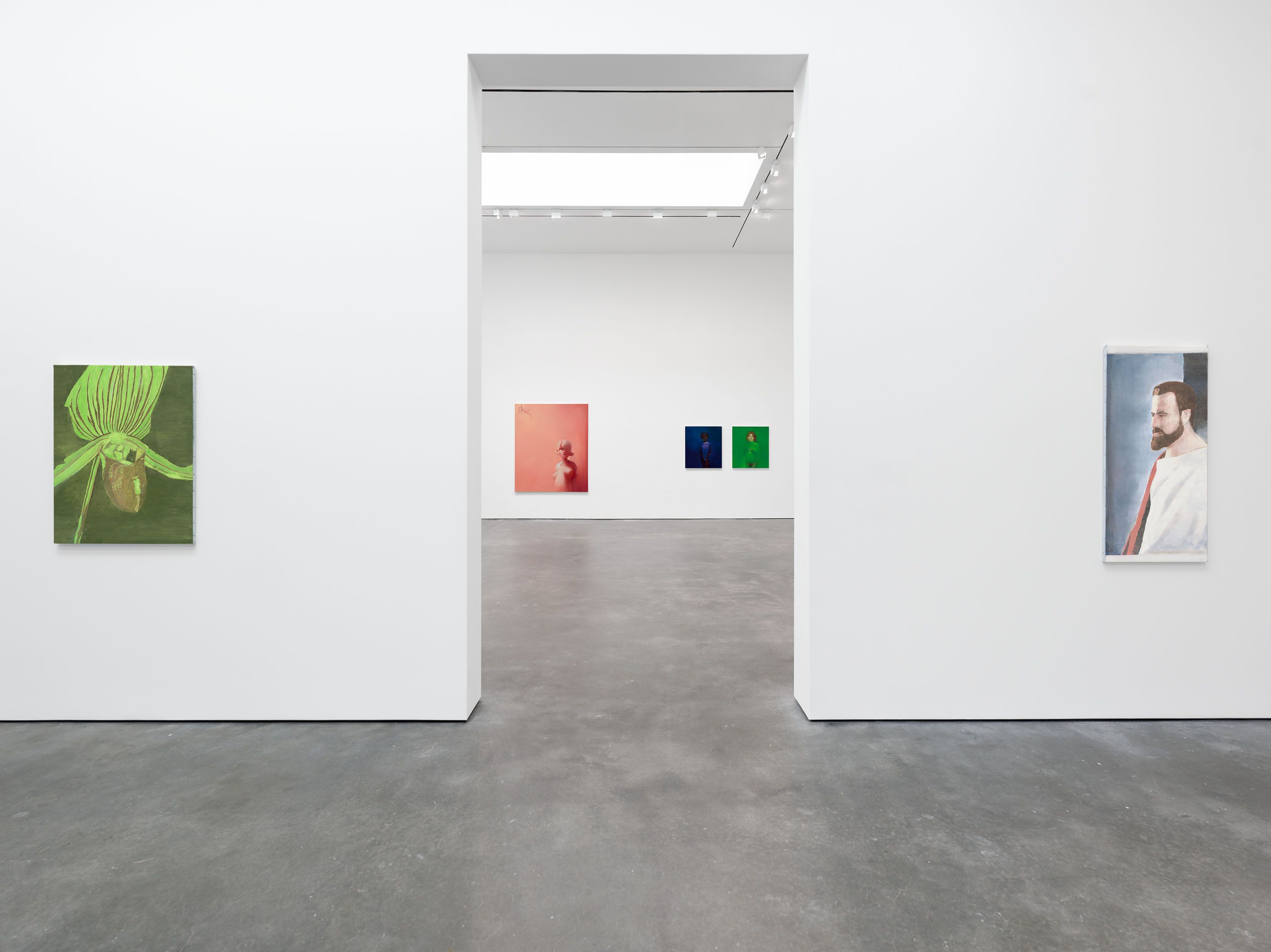 The Face of Contemporary Art/デイビット　セイドナー The Face of Contemporary Art/デイビット セイドナー The Face