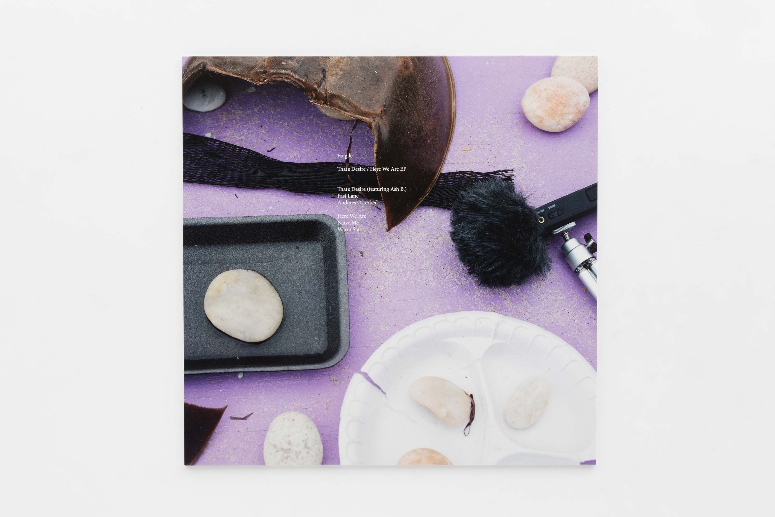 Wolfgang Tillmans: That's Desire / Here We Are EP | Books