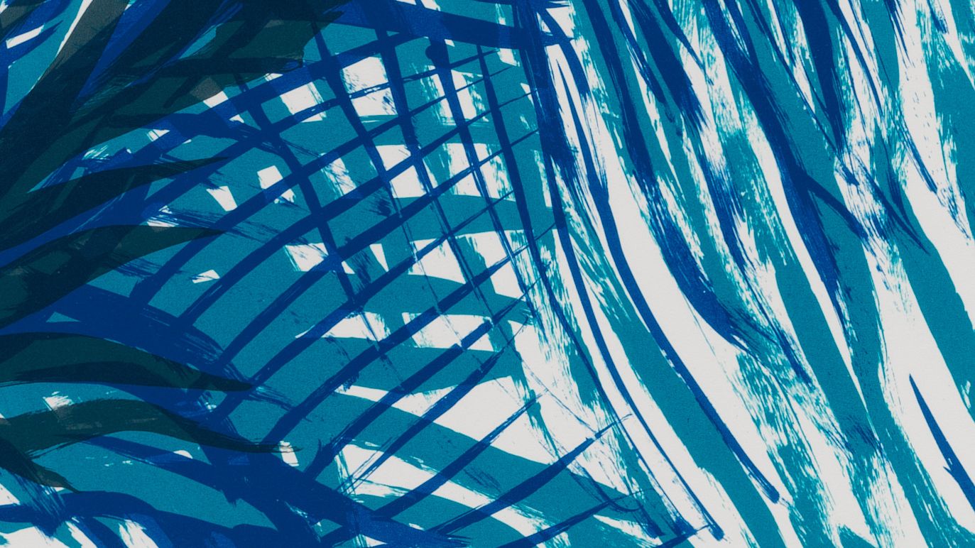 アート・デザイン・音楽 Raymond Pettibon: Surfers 1985-2015 Raymond Pettibon: Surfers 1985-2015: Pettibon, Raymond