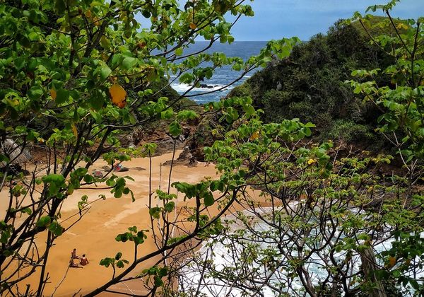 Playa del Amor en Zipolite, Oaxaca: La joya escondida en el Pacífico mexicano
