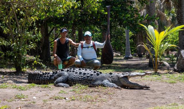 Playa Ventanilla — Cocodrilos y Tortugas