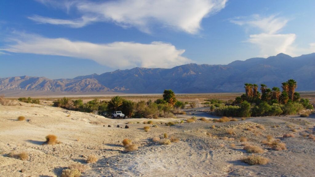 desert in the Saline Valley