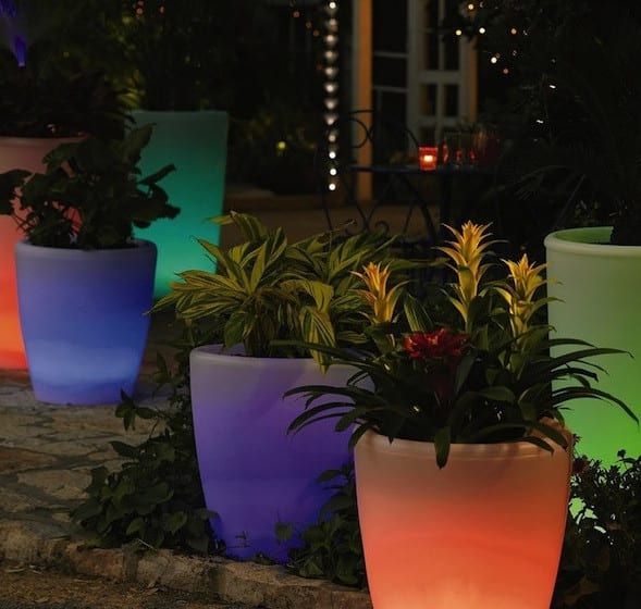 Solar planter