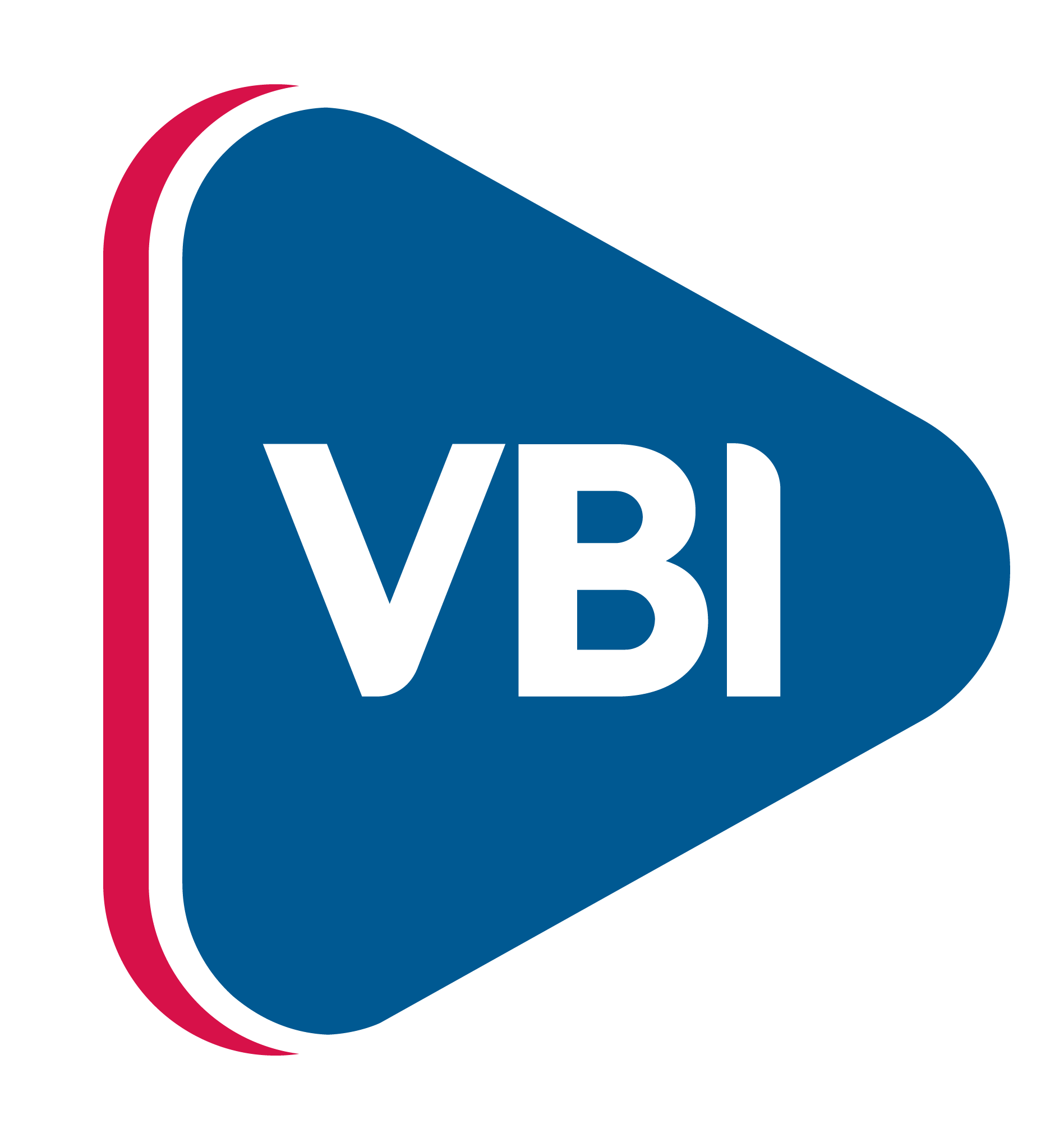 Logo VBI
