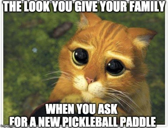 27 Pickleball Memes To Brighten Your Day | Pickleheads
