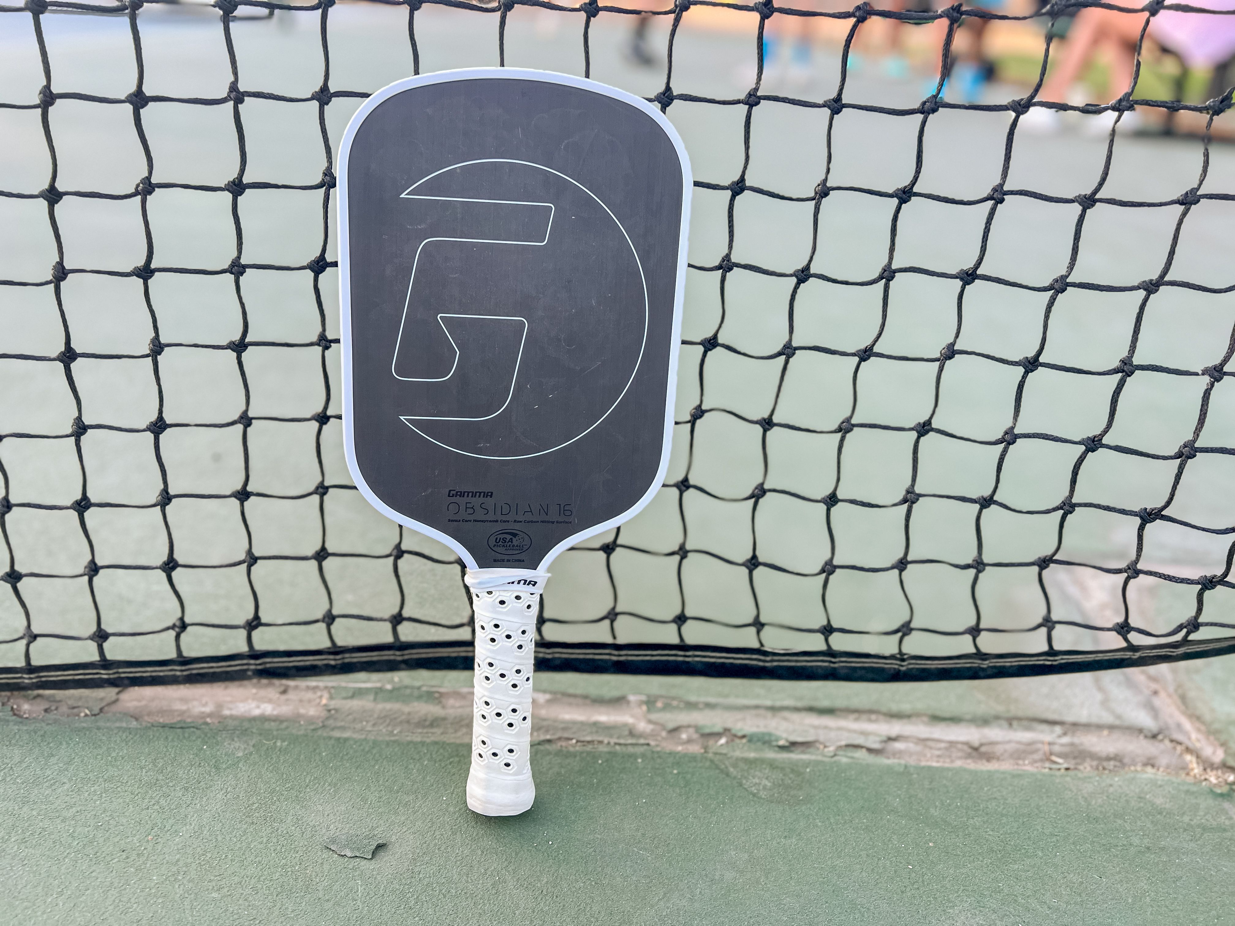 The GAMMA Obsidian pickleball paddle resting against a net