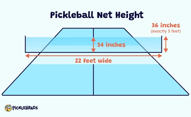 Pickleball net height diagram