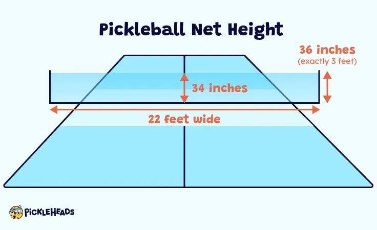 Graphic showing the pickeball net height regulations