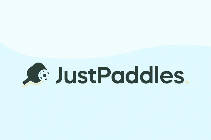 Just Paddles For Used Pickleball Paddles