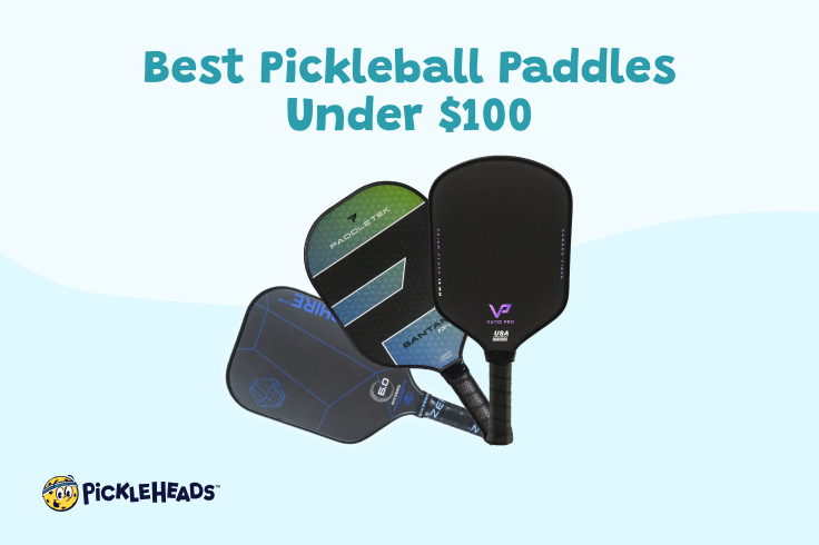 Best Pickleball Paddles Under 100 In 2024 Top 5 Picks Pickleheads   4187b0f375bb52612690350e6b18040cab51a0b1 736x490 