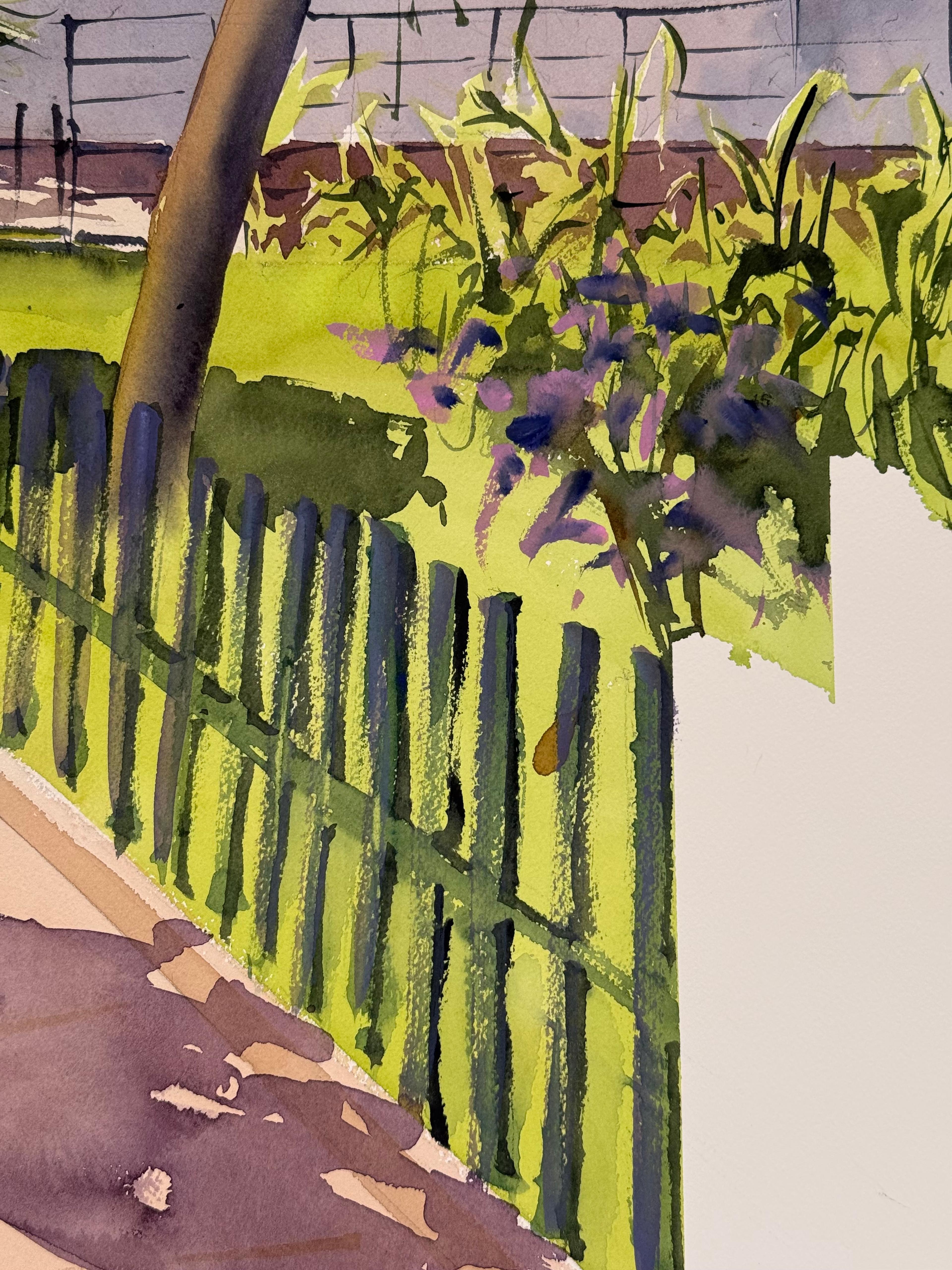 Cactus alley - View 3
