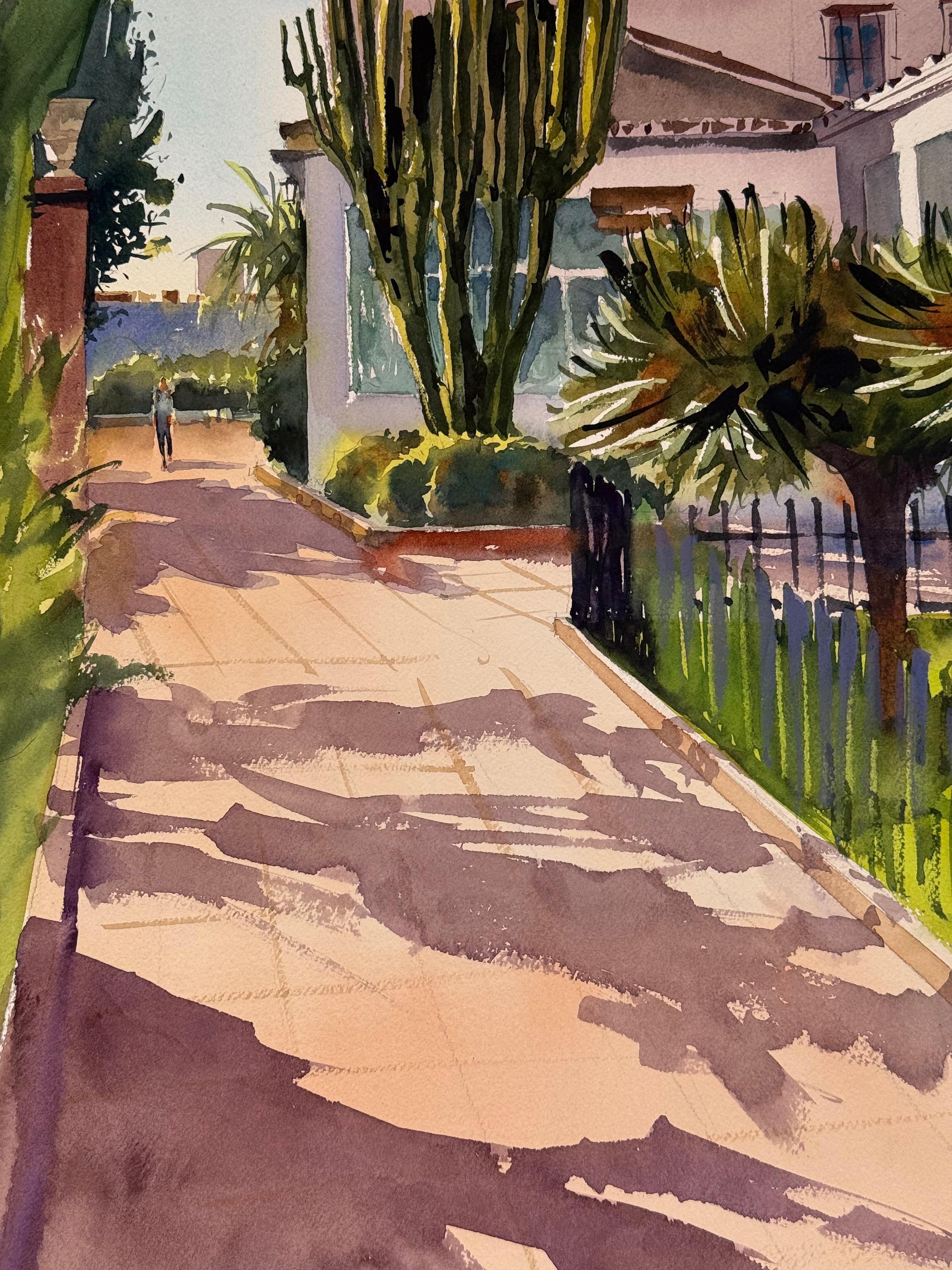 Cactus alley - View 6