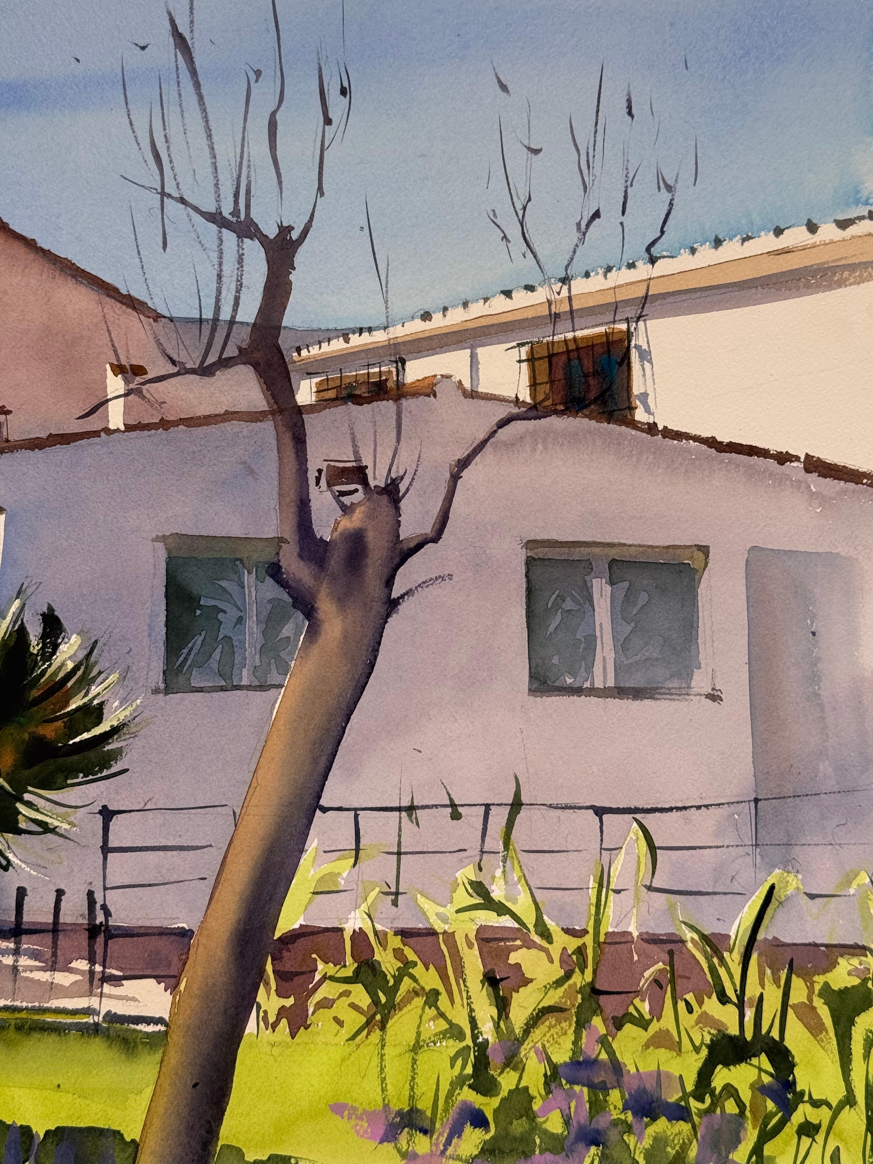 Cactus alley - View 4