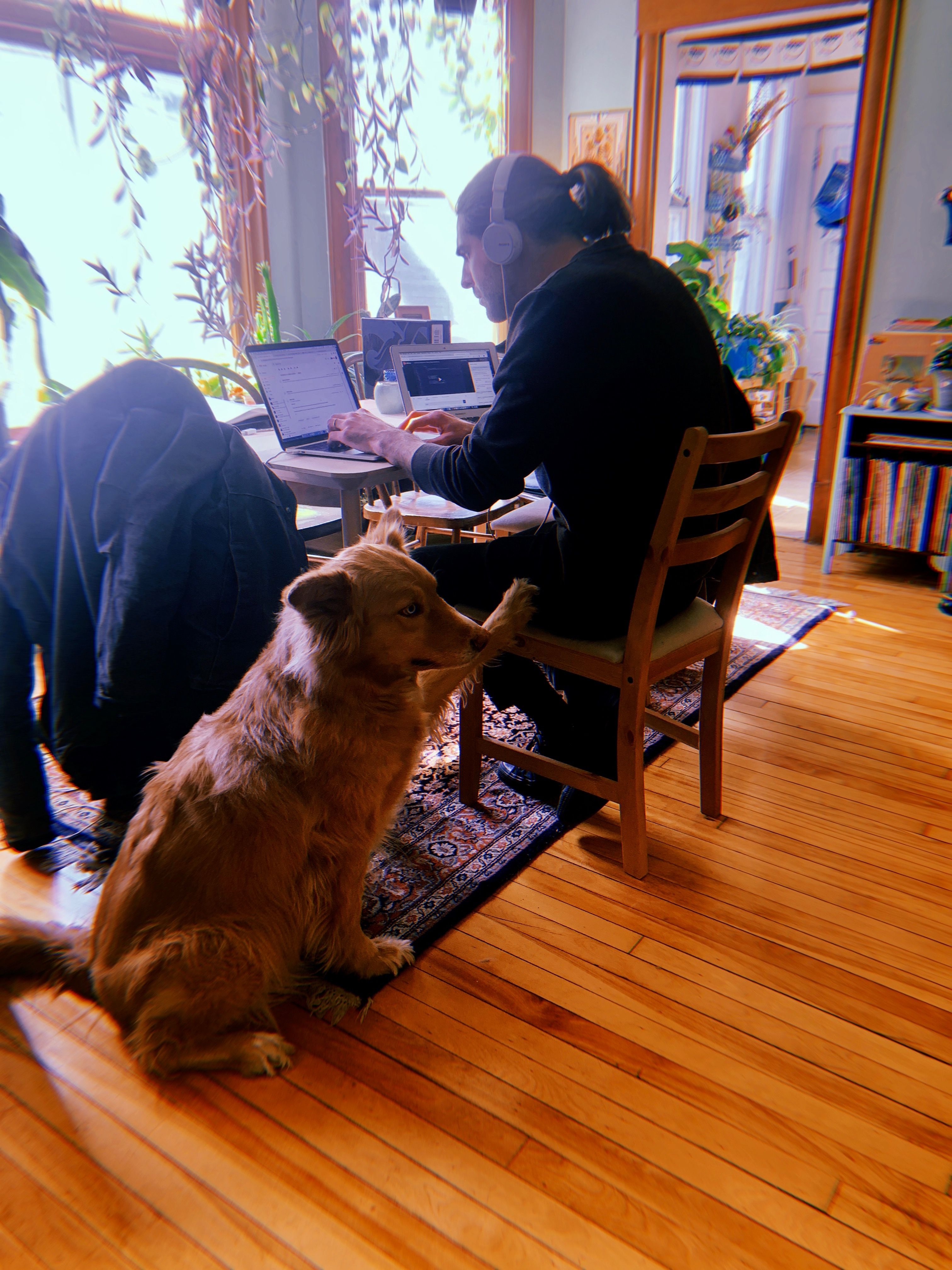 Niko and Fran at the working table