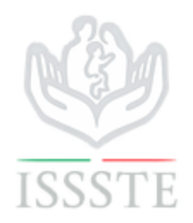 Logo 13