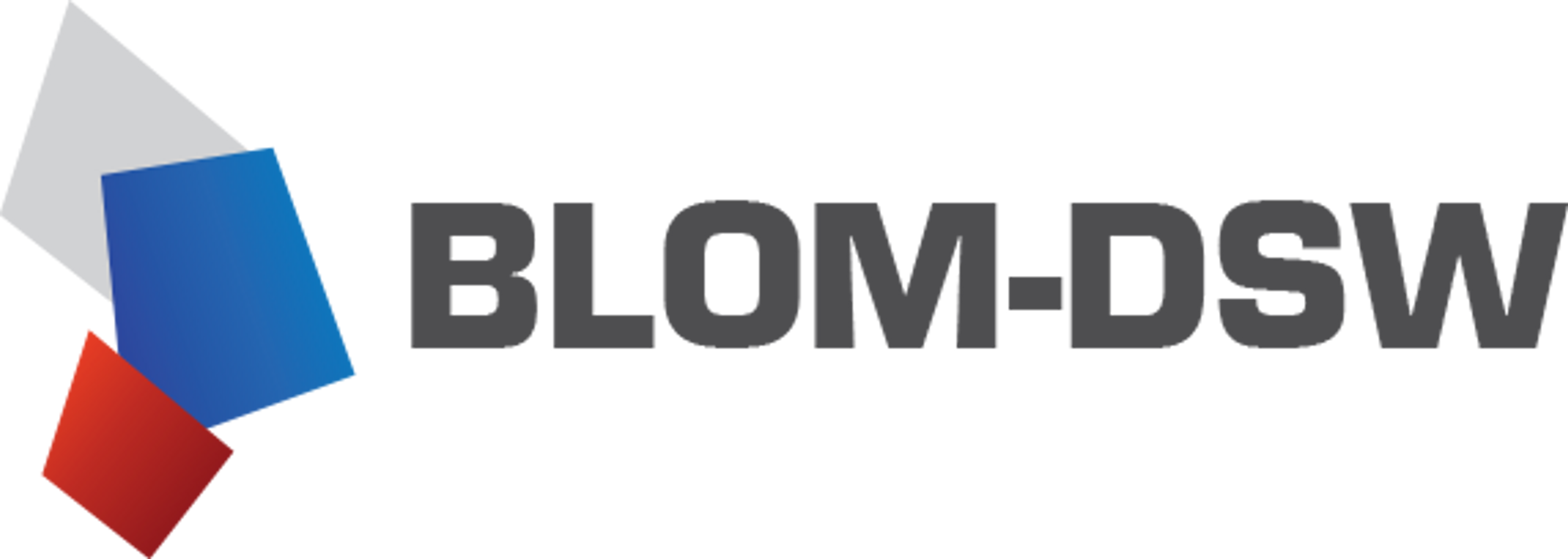 Logo Blom DSW