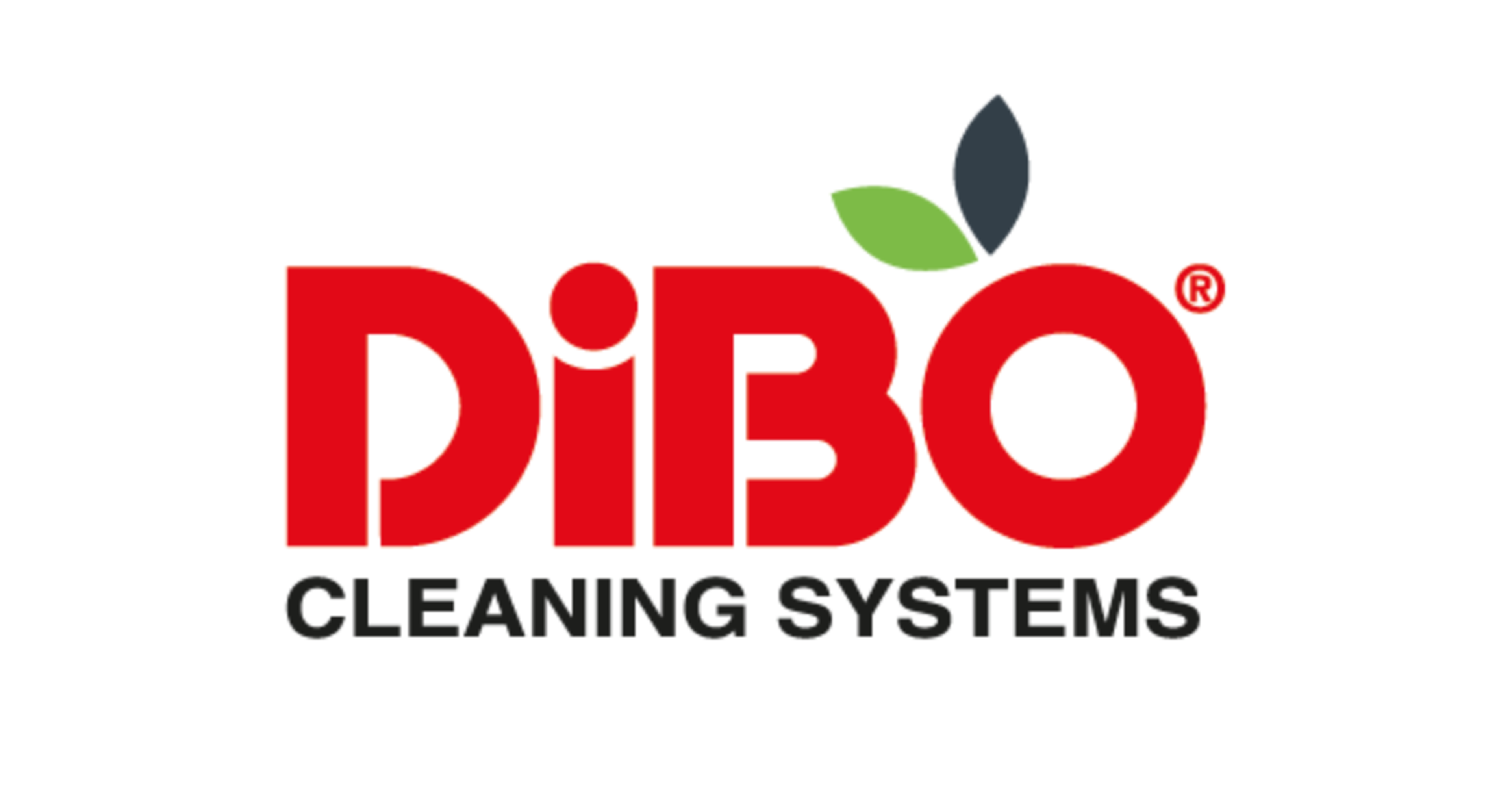 Logo DiBo Nederland