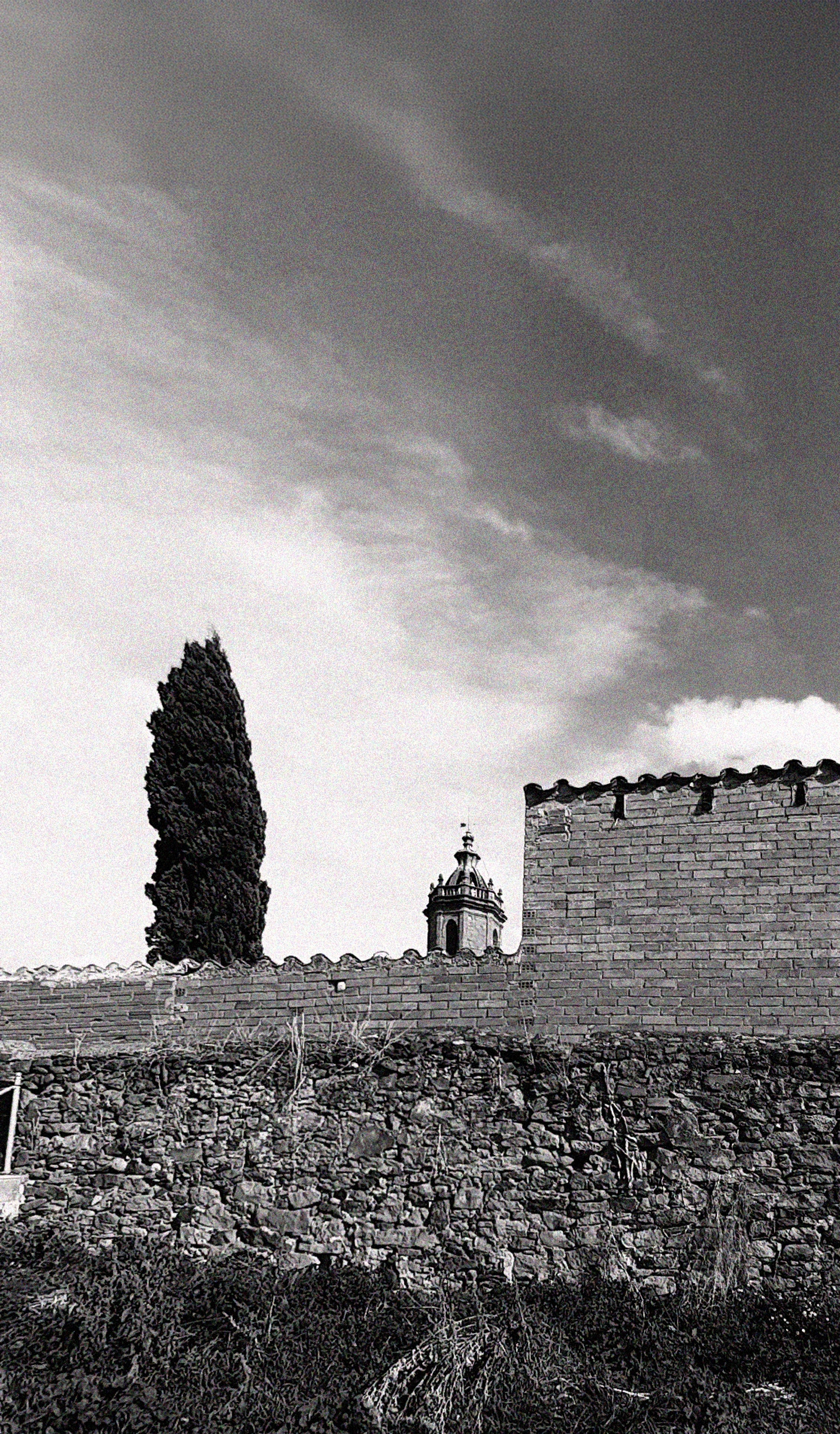 20201020_151323 copia
