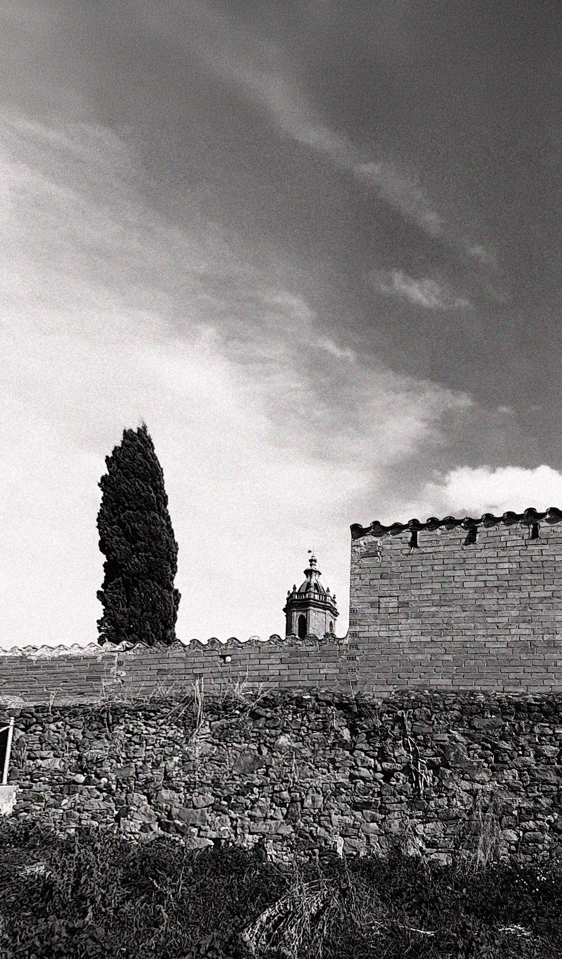 20201020_151323 copia